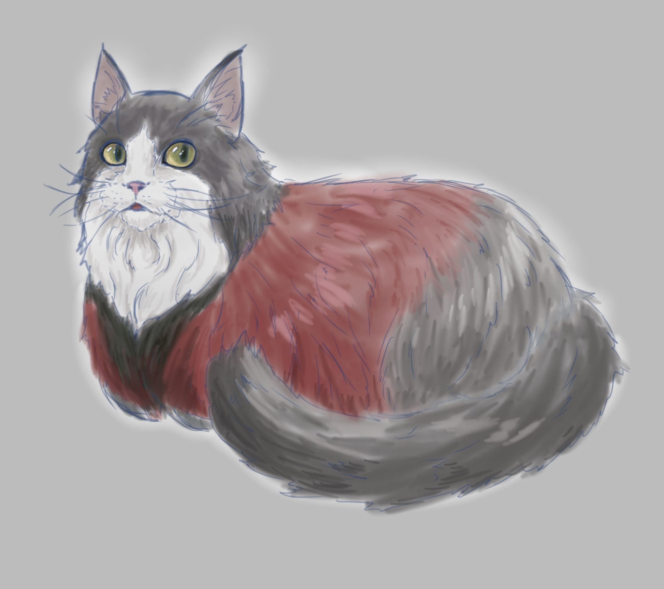 猫化FA-1