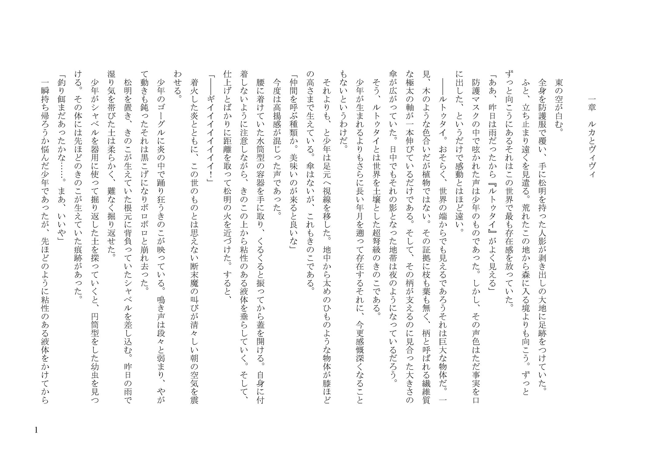 頂きのないフングス-1