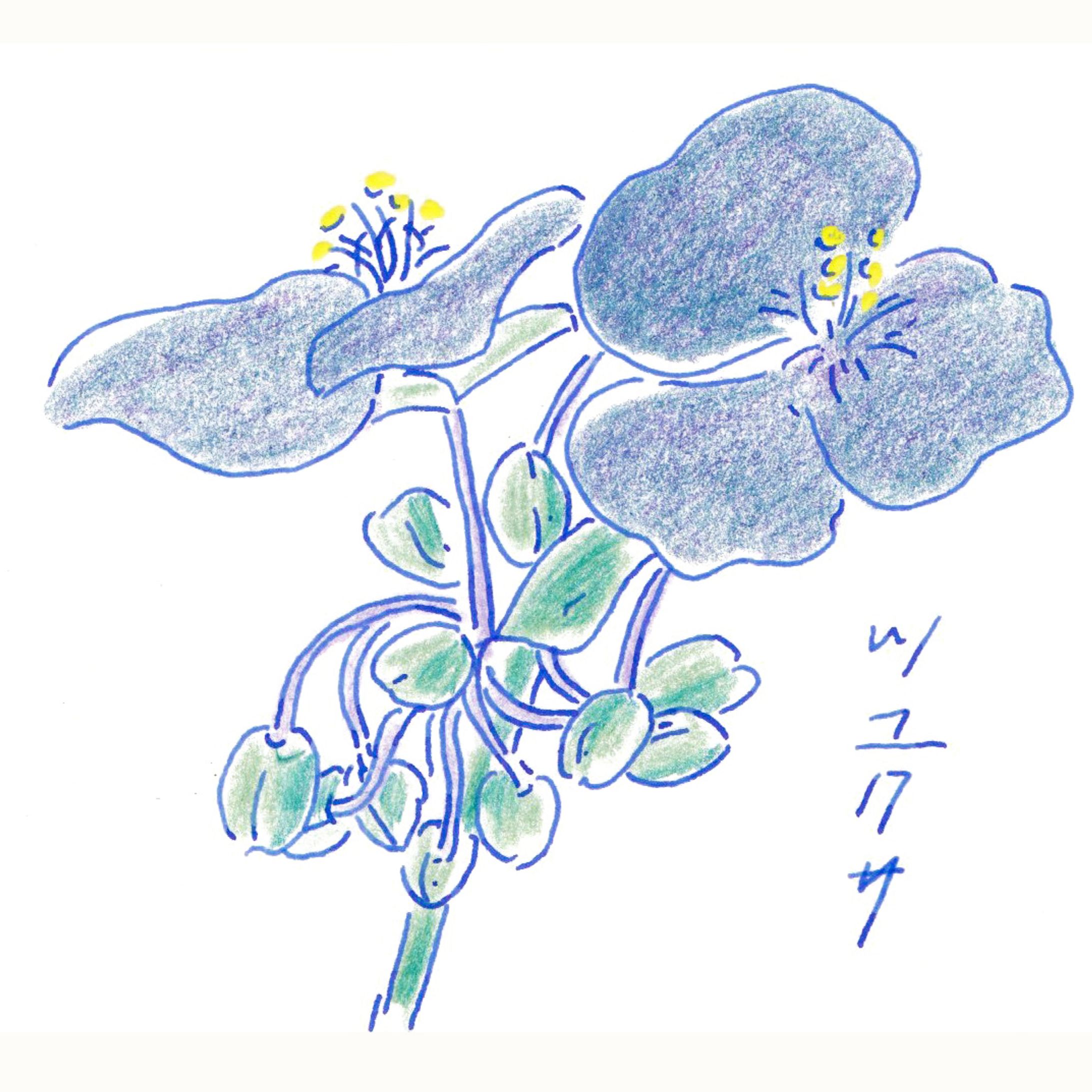 Objects-1