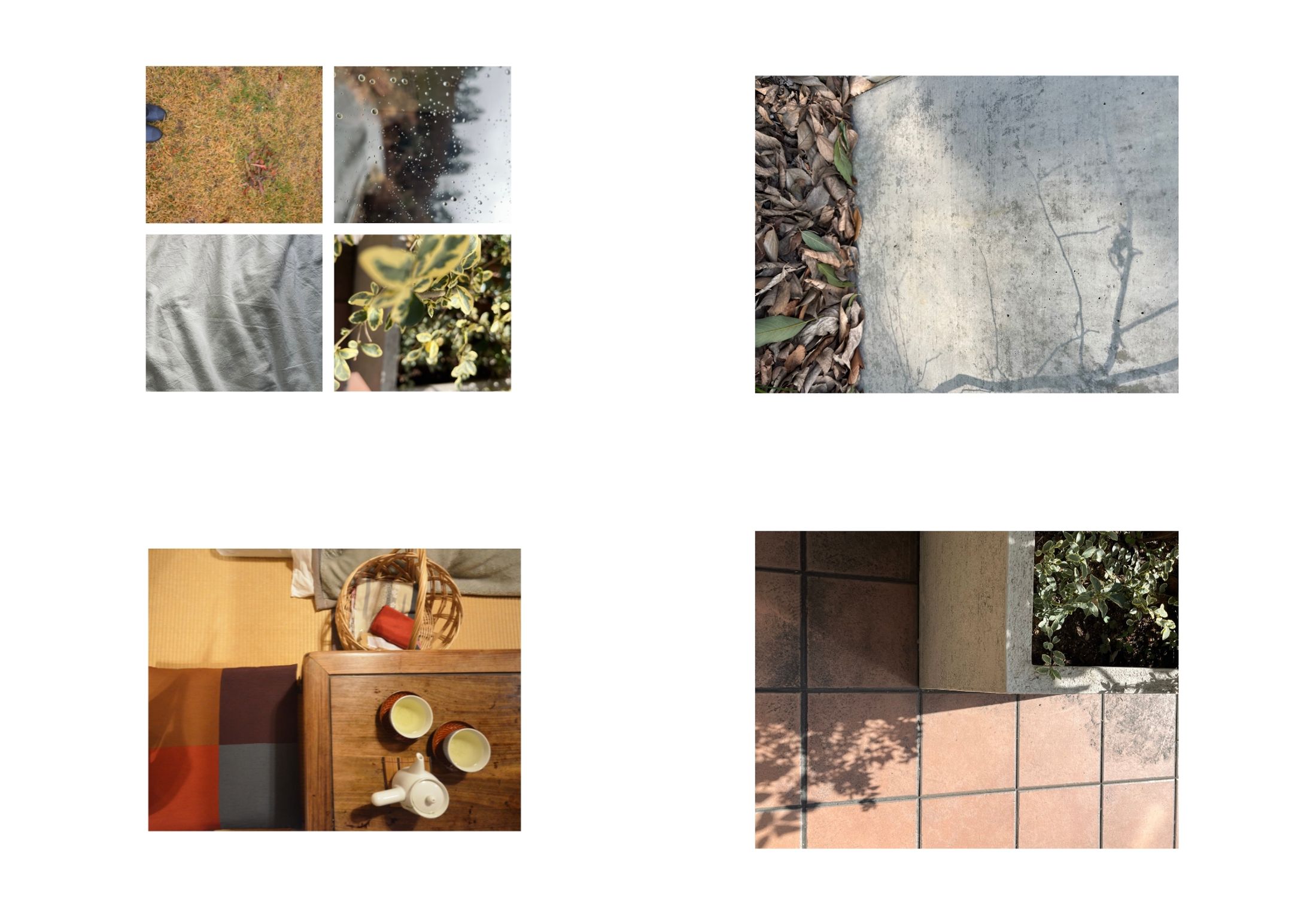 visual design-1
