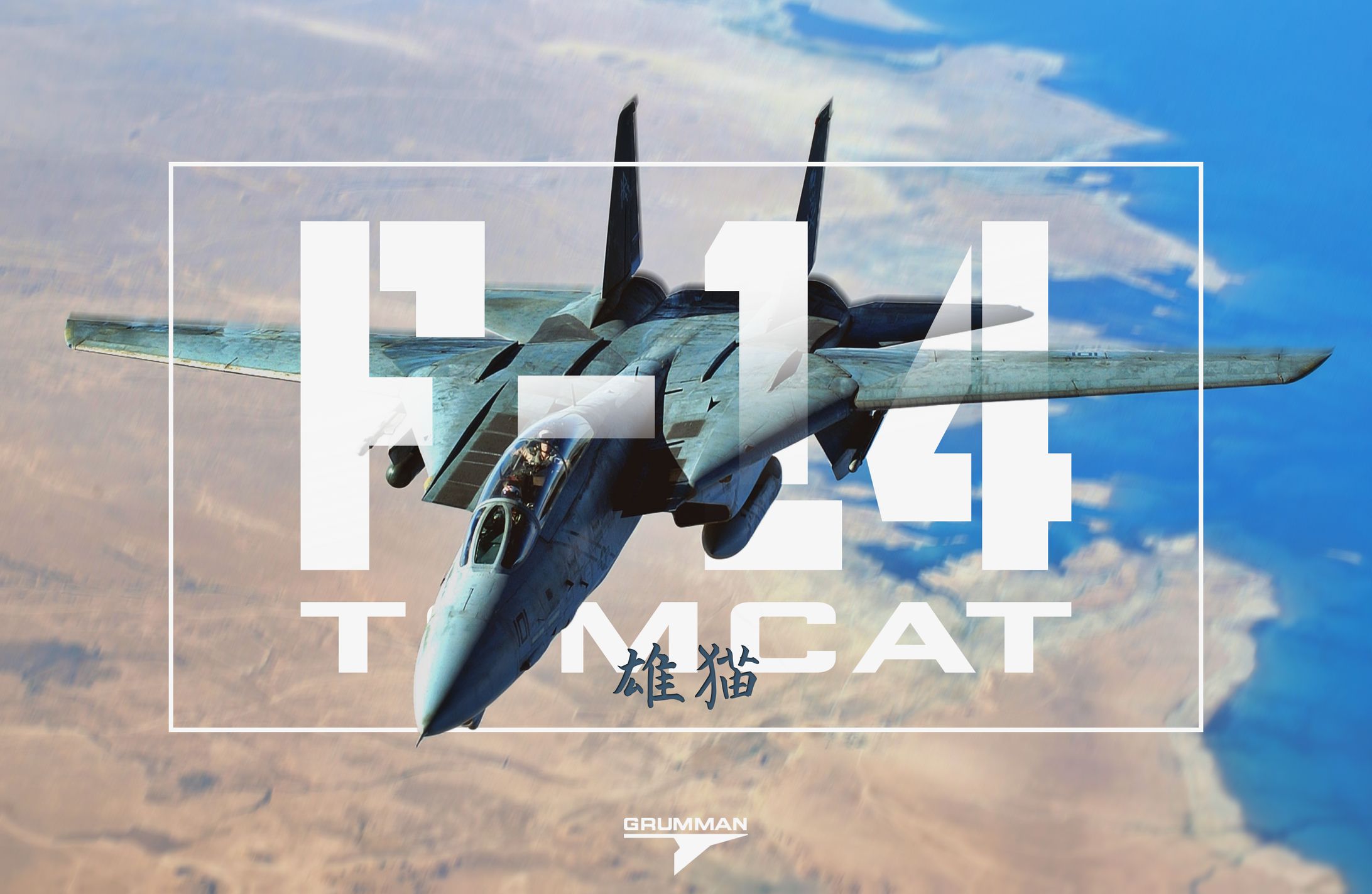 F-14 Graphic Edit-1