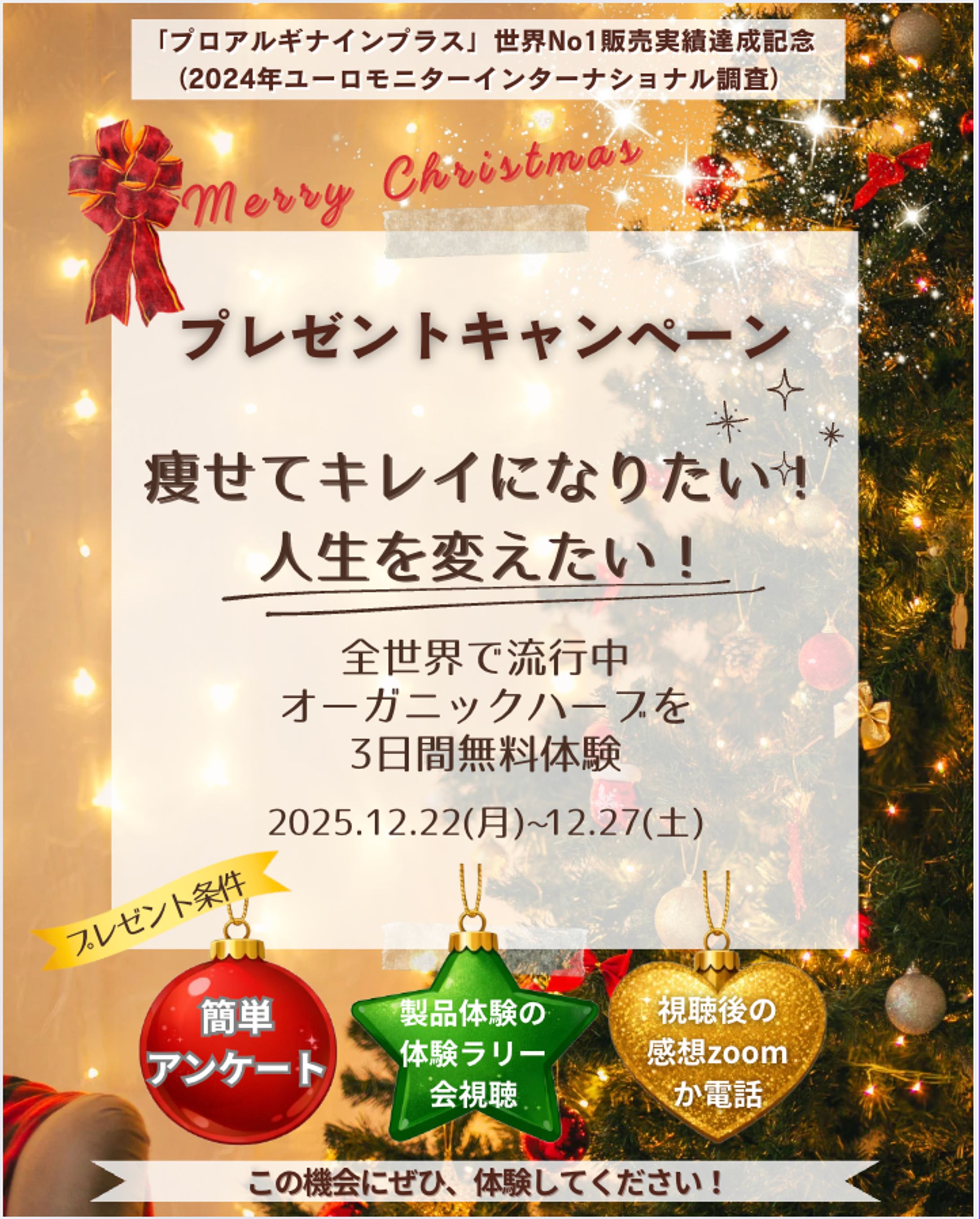 クリスマスプレゼントキャンペーン-1