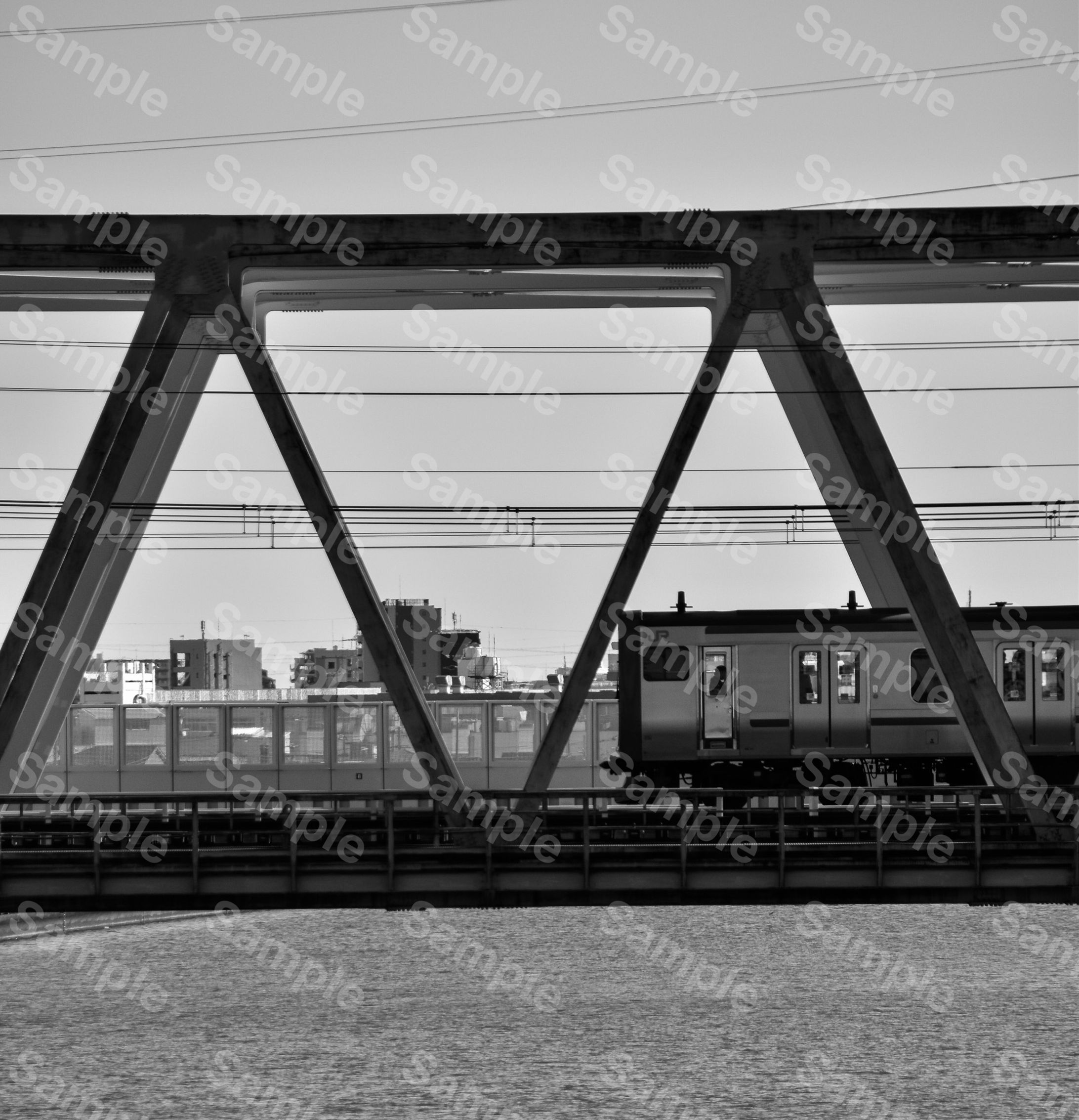 Tokyo Trains-1