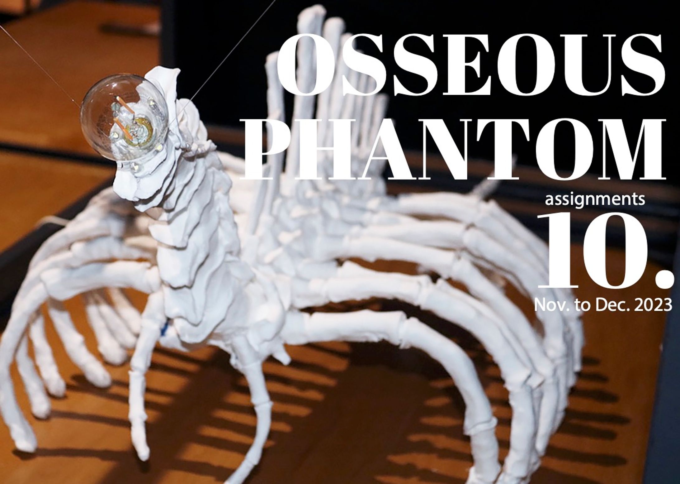 【課題】Osseous Phantom（2023年）-1