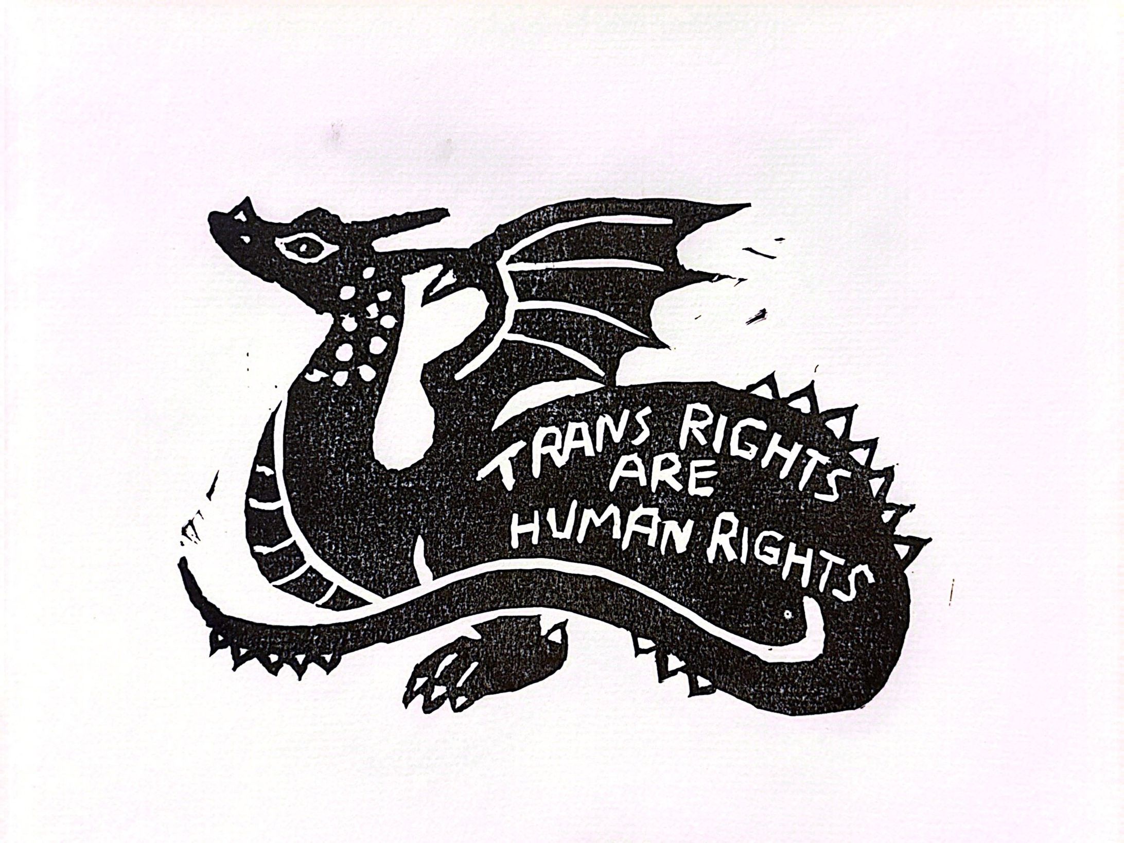 TRAMS RIGHTS ARE HUMAN RIGTHTSドラゴン🏳️‍⚧️-1