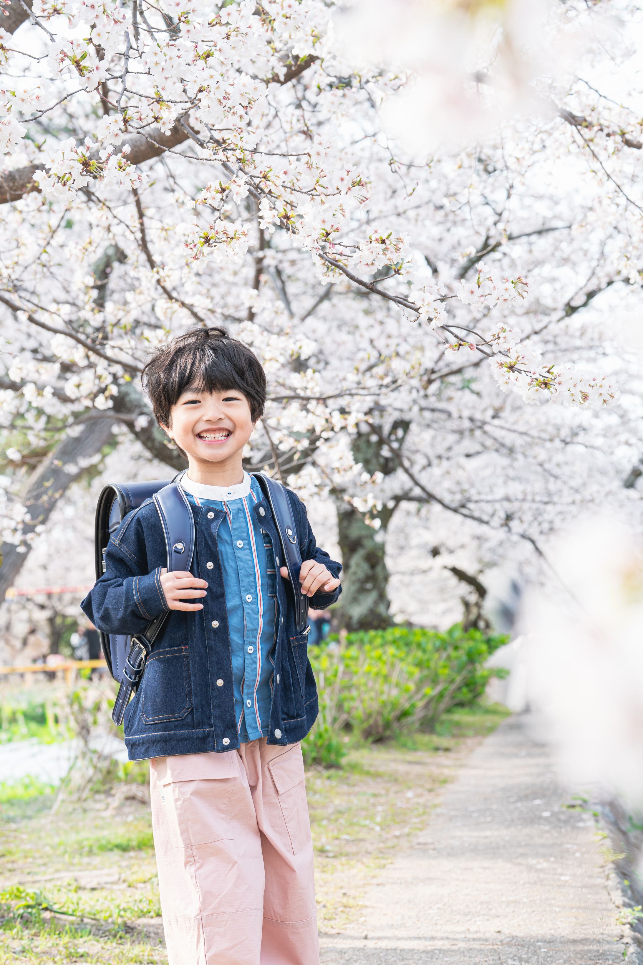 桜-1