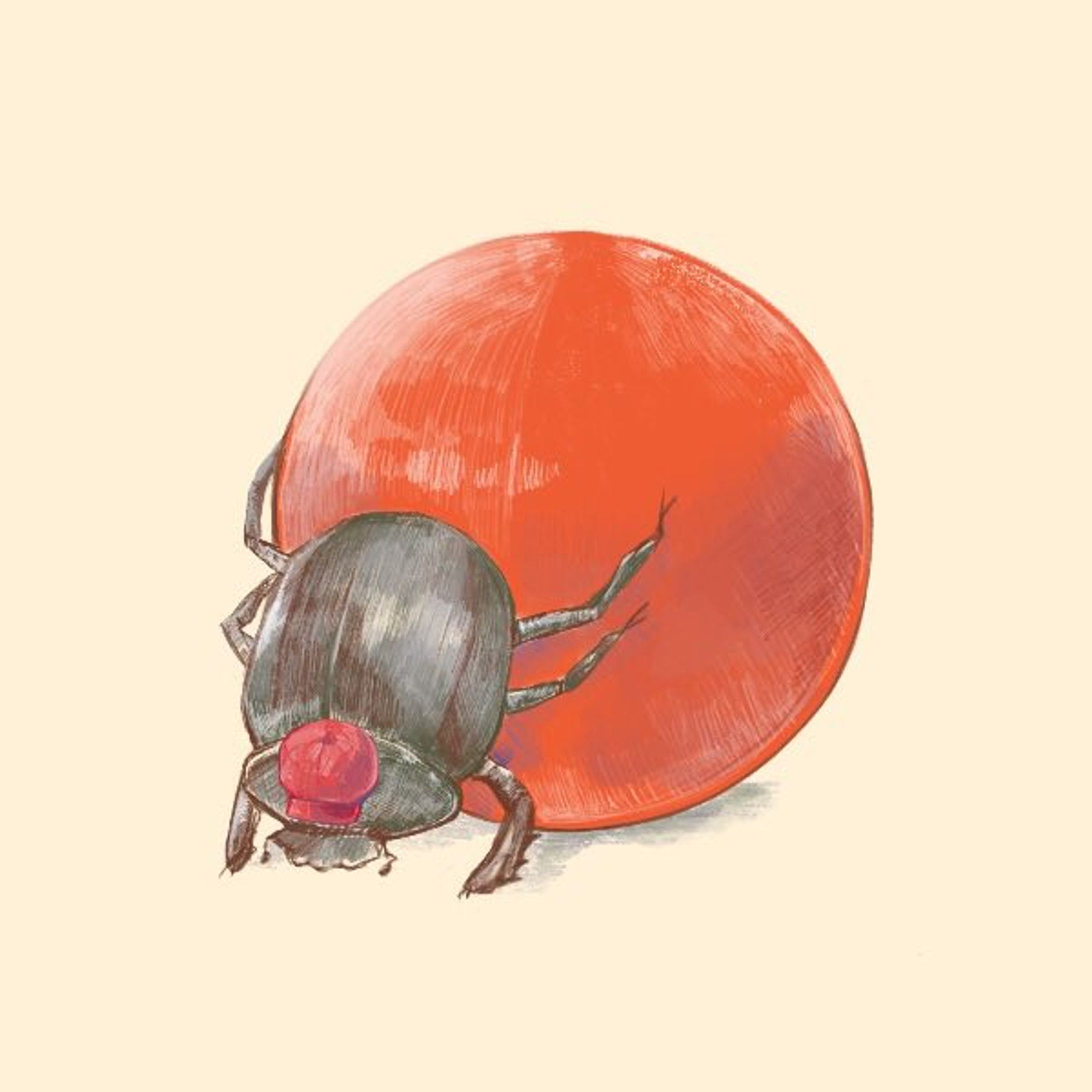 玉転がし-1