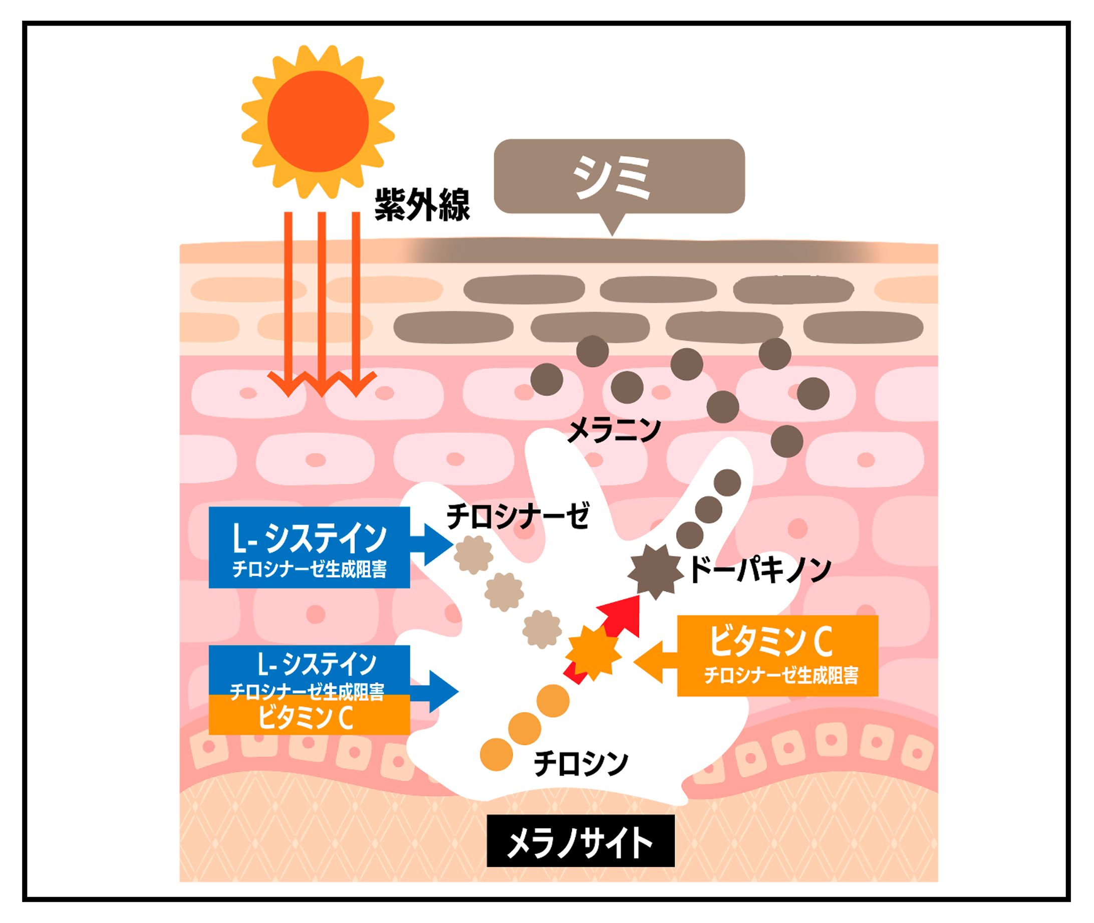 LP広告漫画　断面図作画-1
