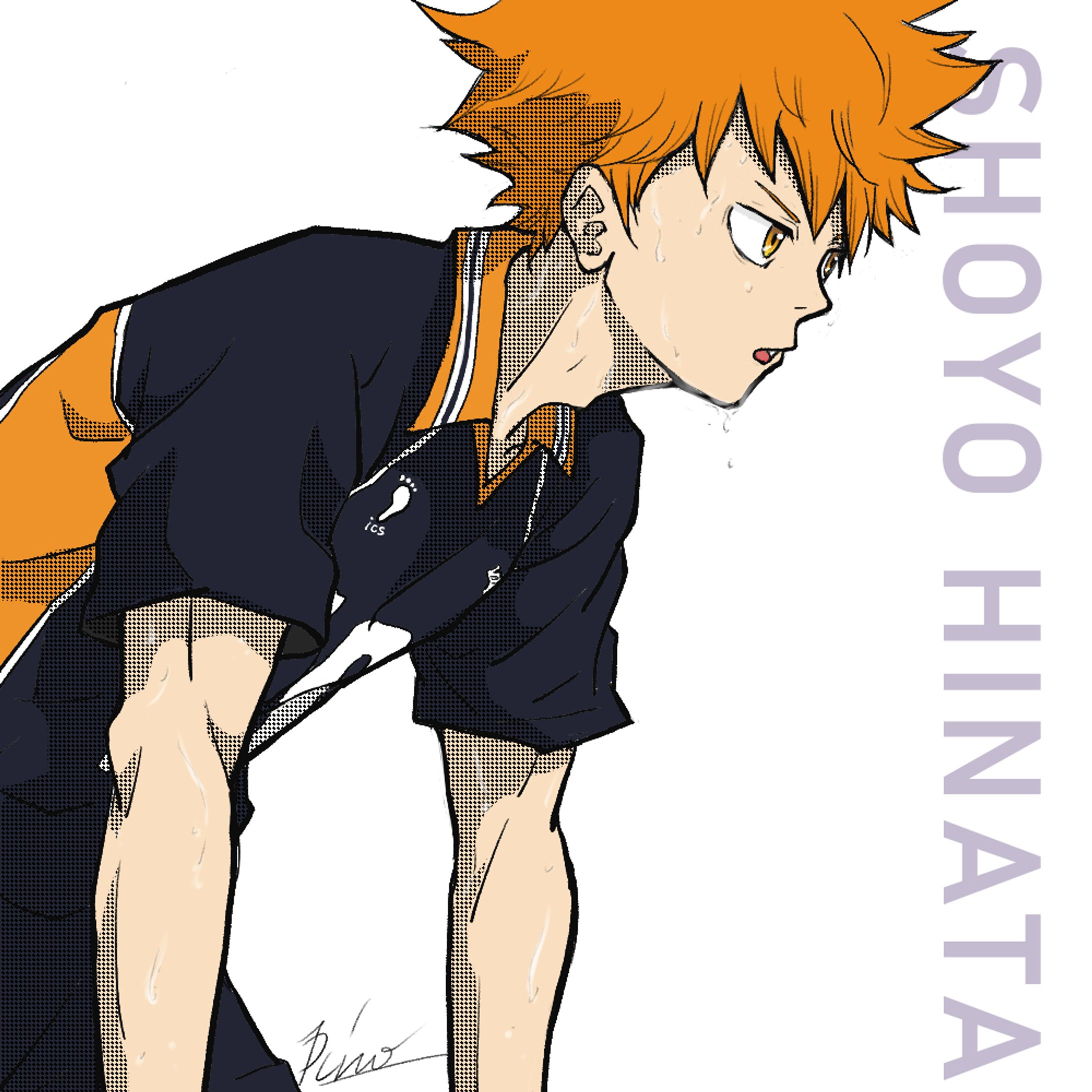 HQ!! Shoyo Hinata -1