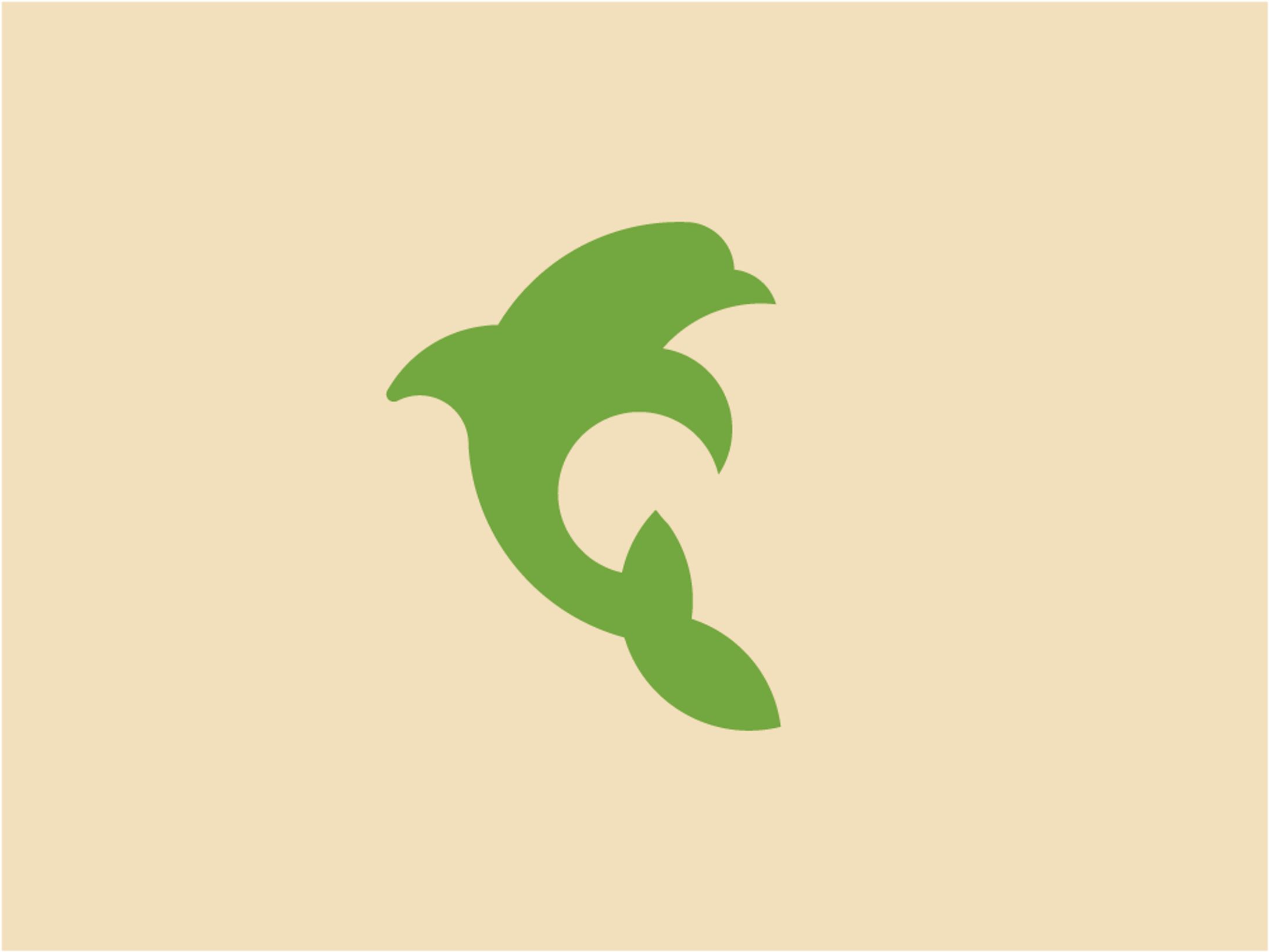 Branding | Nai'a Airlines-1