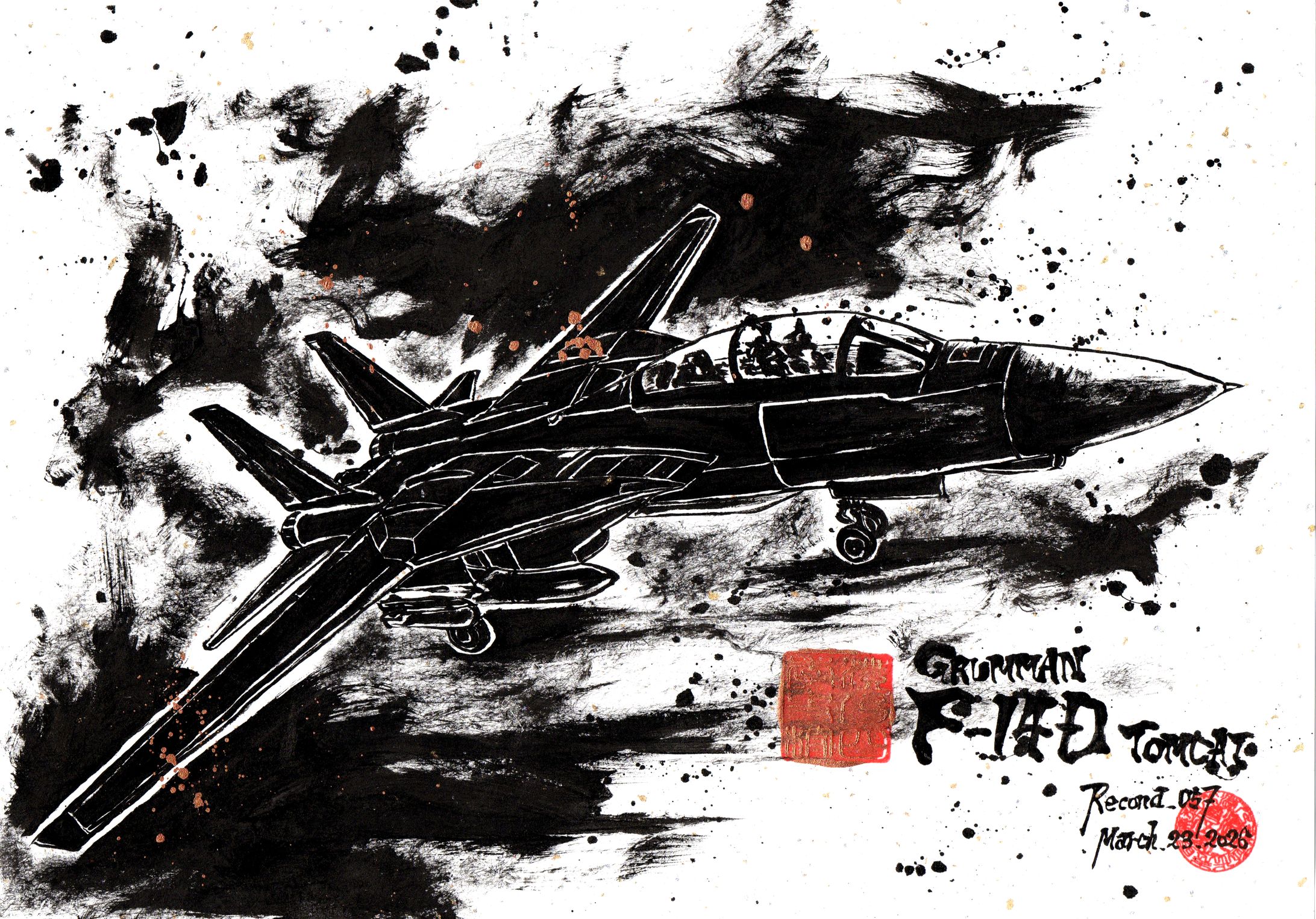BOEING F-14D TOMCAT / Standard SUMIE style-1
