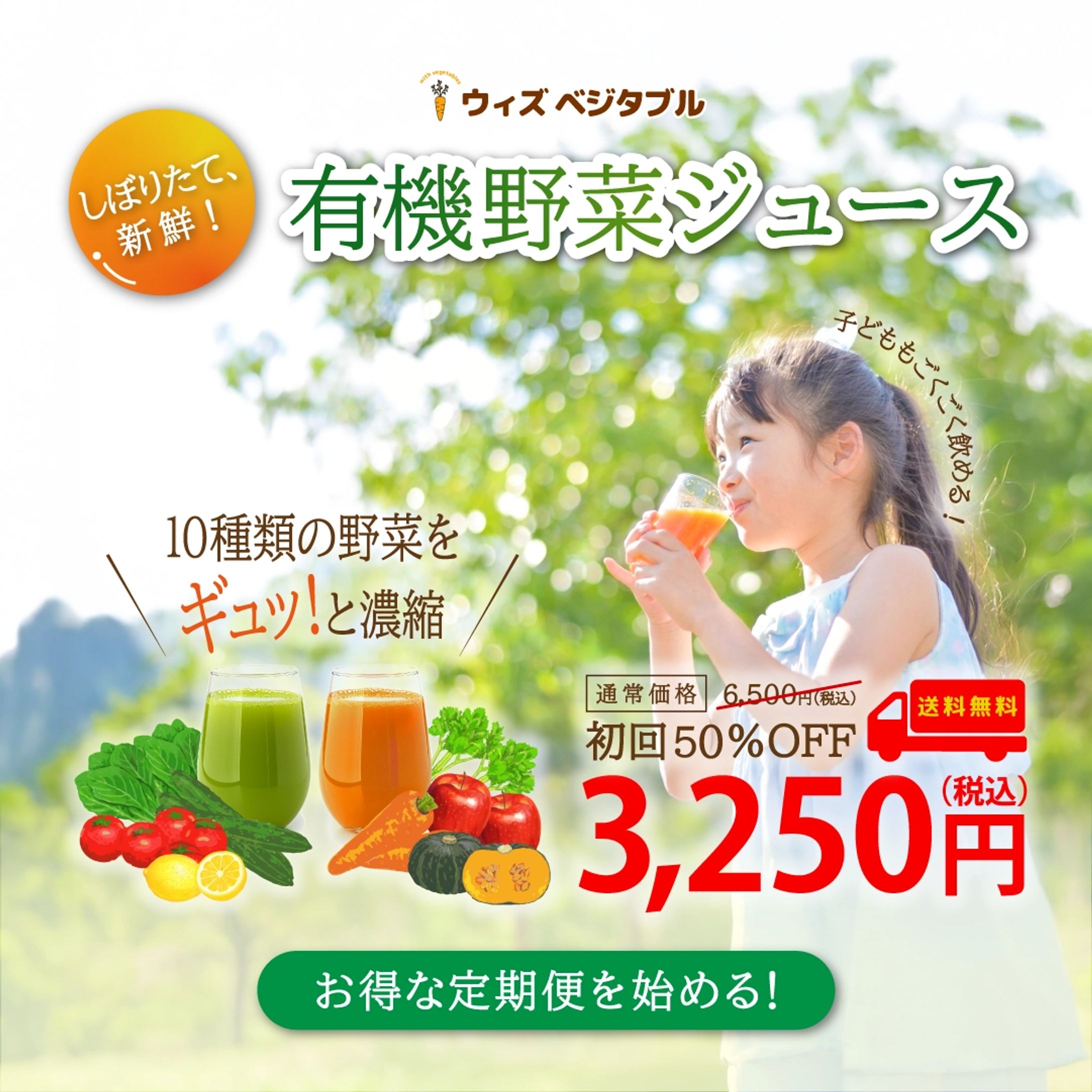 野菜ジュース定期便販促-1