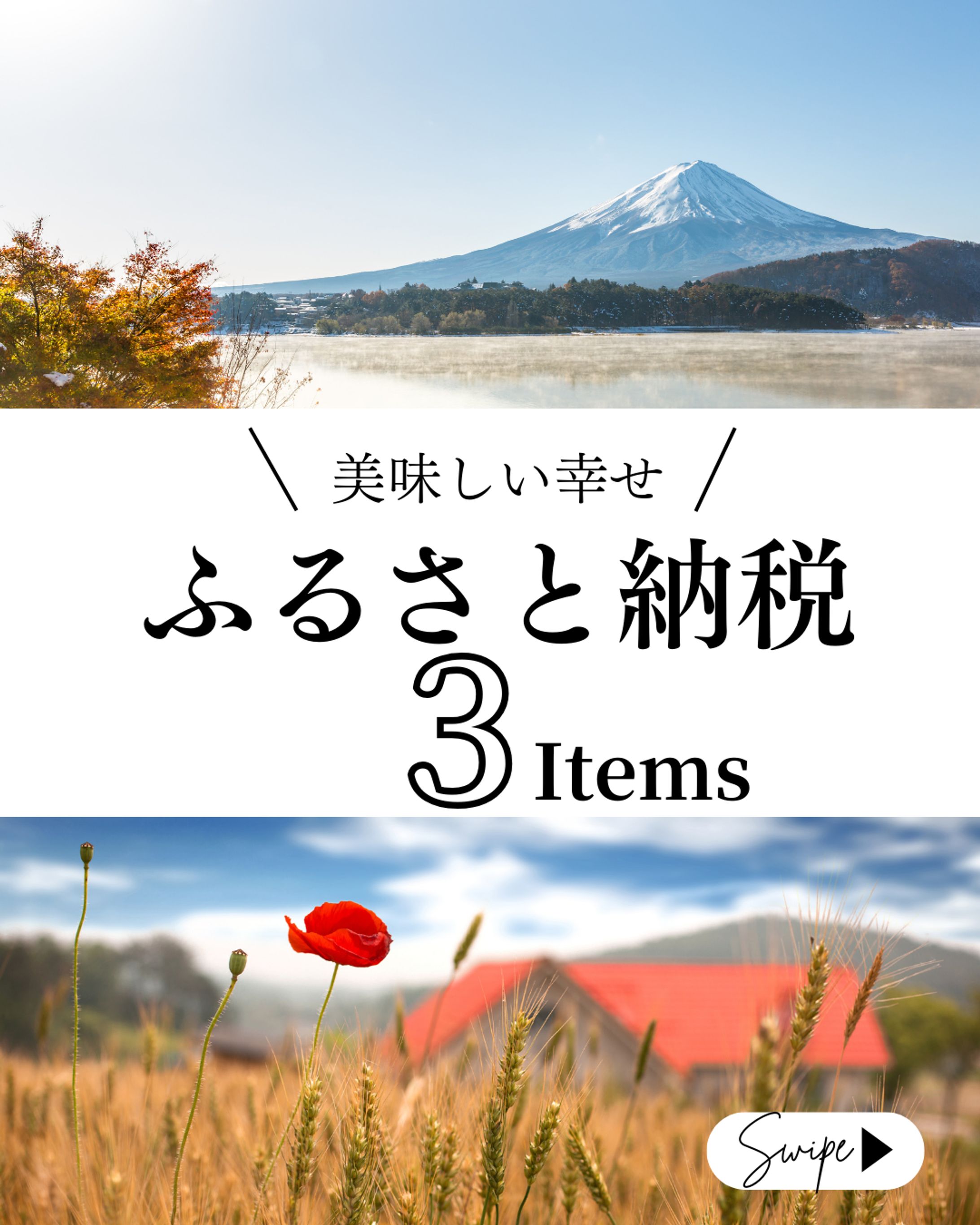 Instagram投稿　ふるさと納税-1