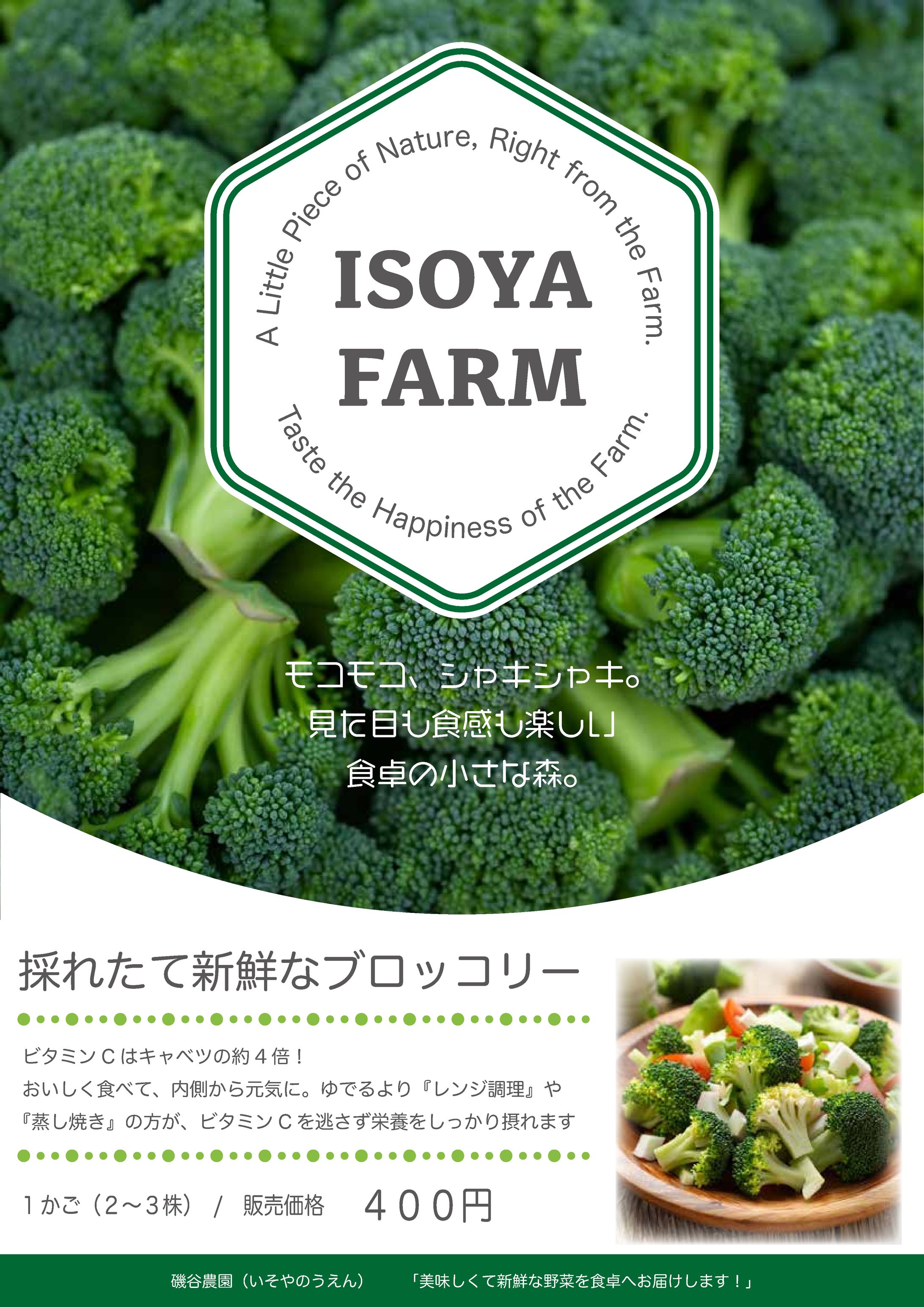 Farm Flyer-1