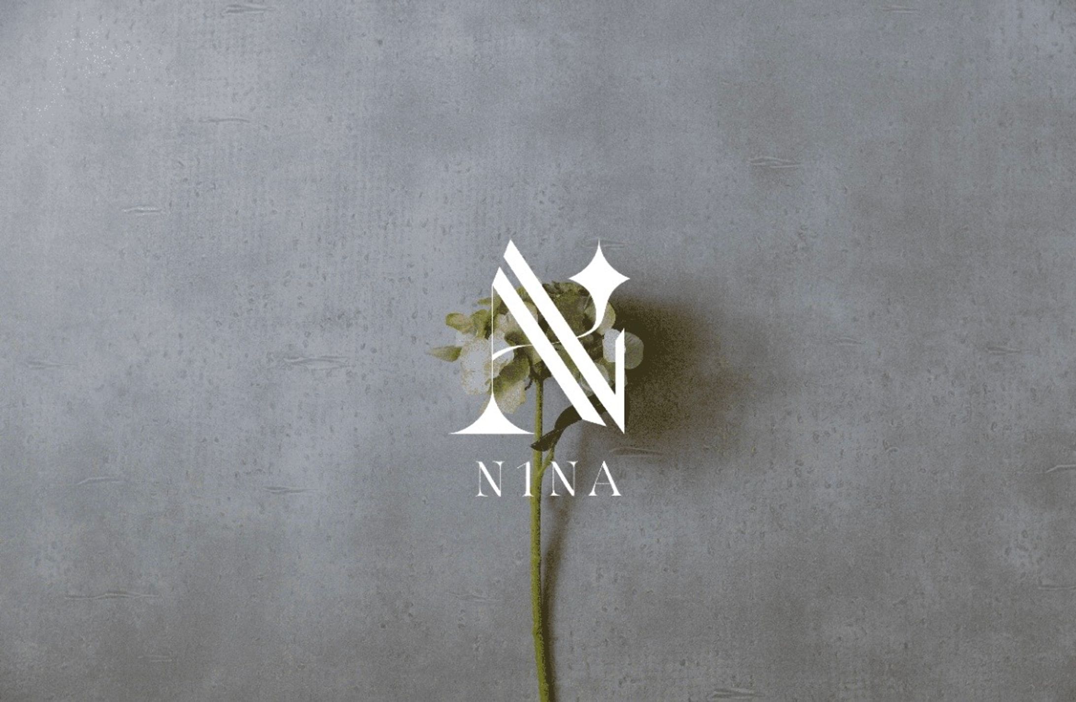 N1NA Logodesign-1