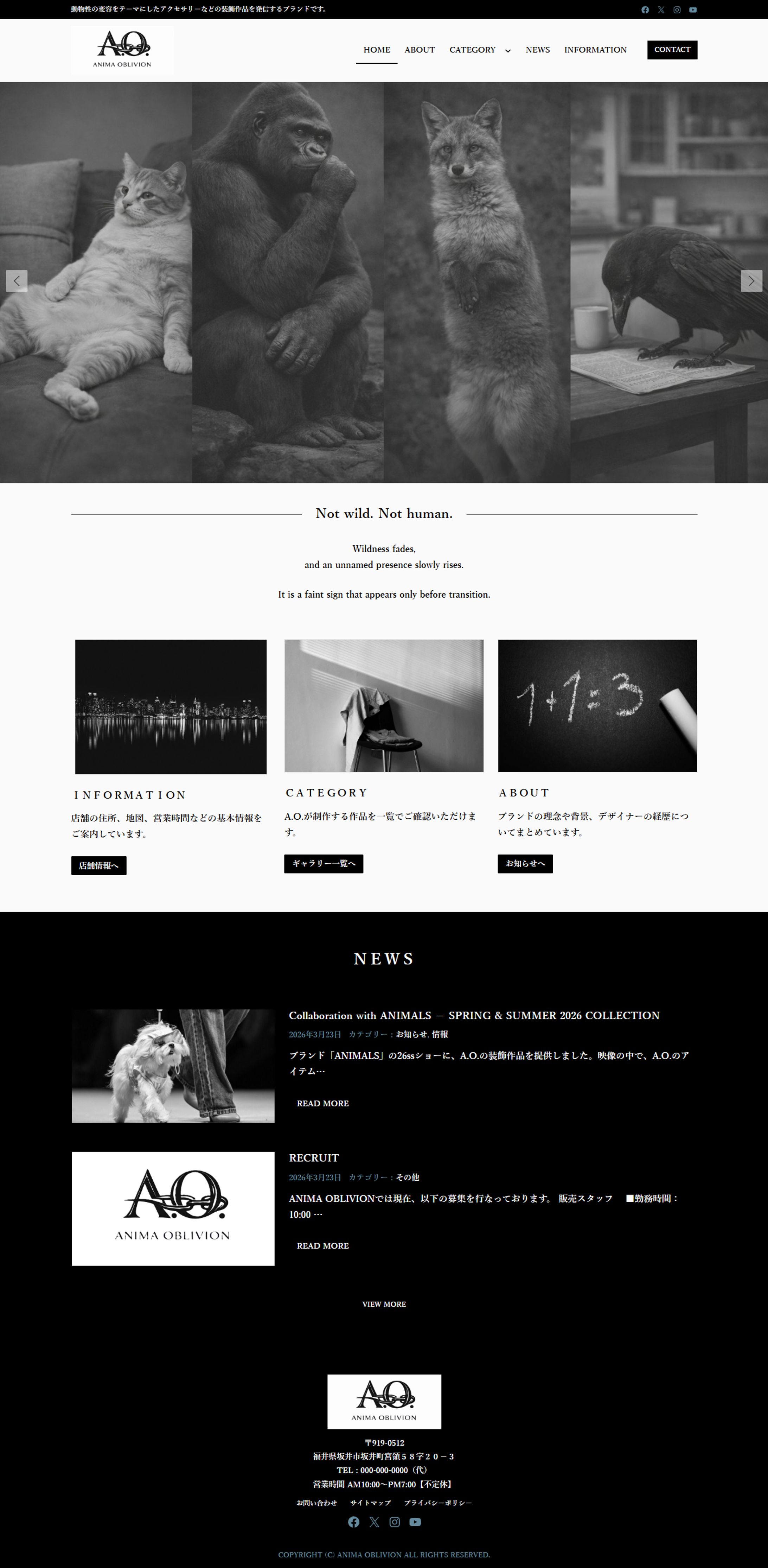 A.O. Official Website-1