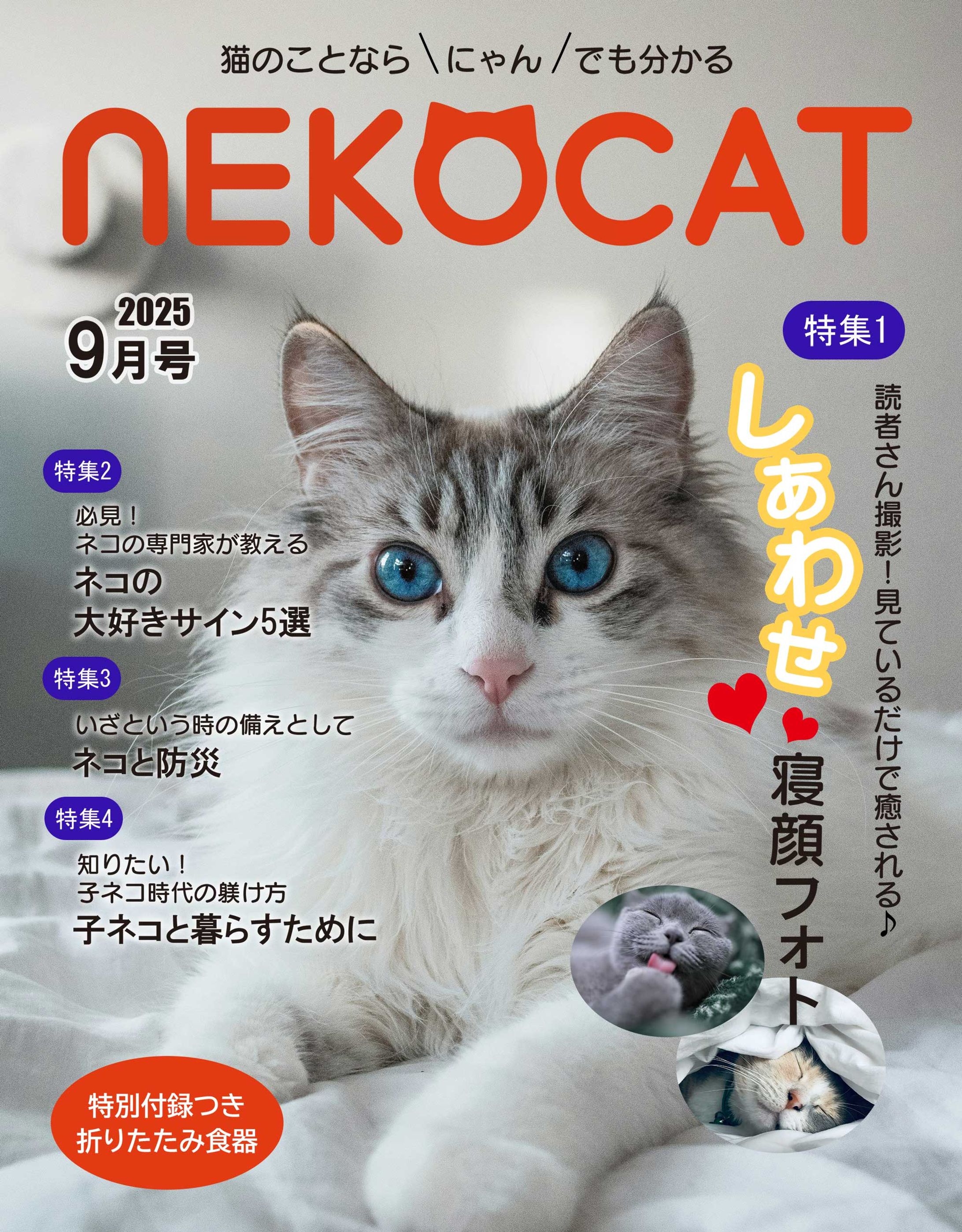 月刊「NEKOCAT」9月号表紙デザイン制作（課題制作）-1