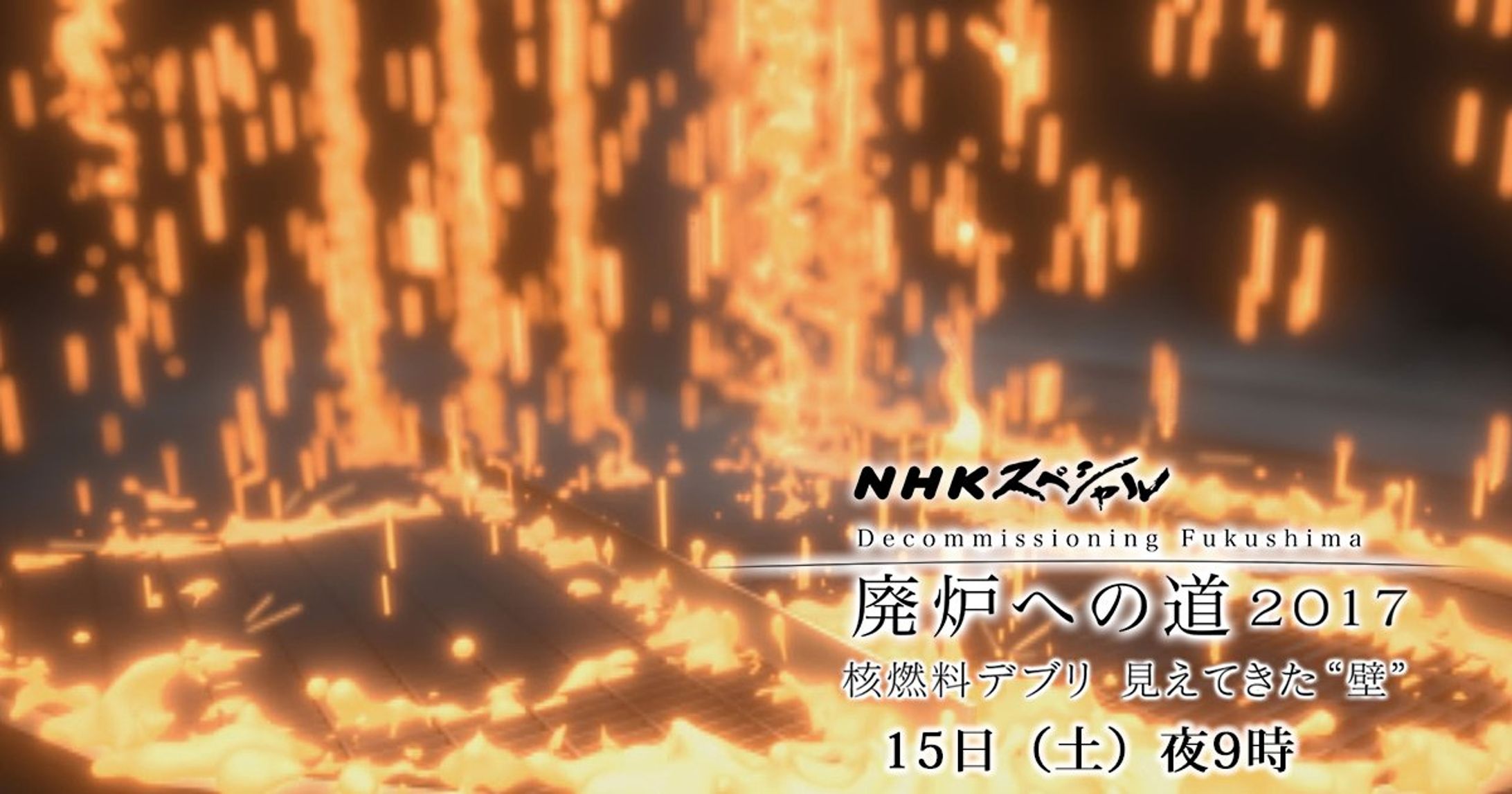 NHKスペシャル「廃炉への道2017 核燃料デブリ 見えてきた“壁”」-1