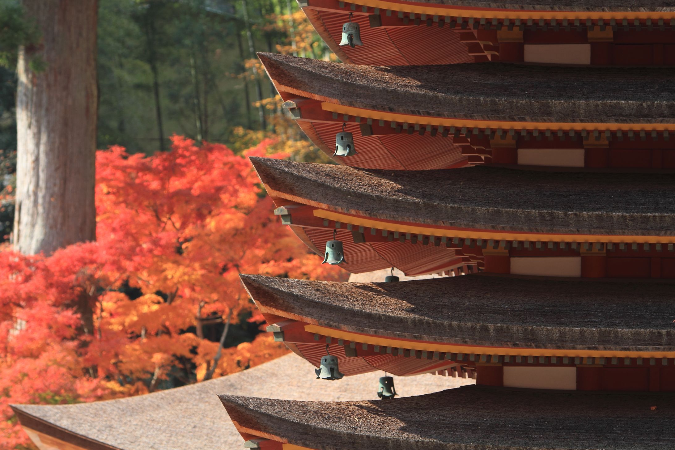 秋の風景-1