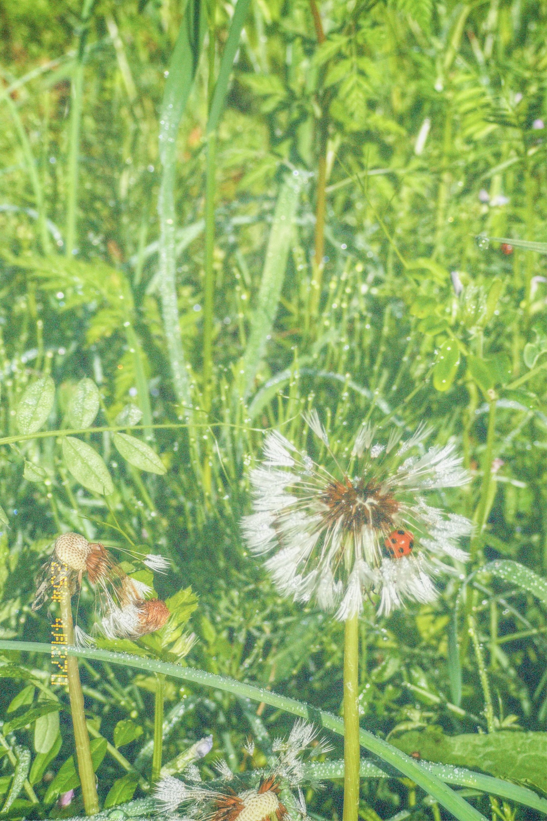 2025_Spring-1