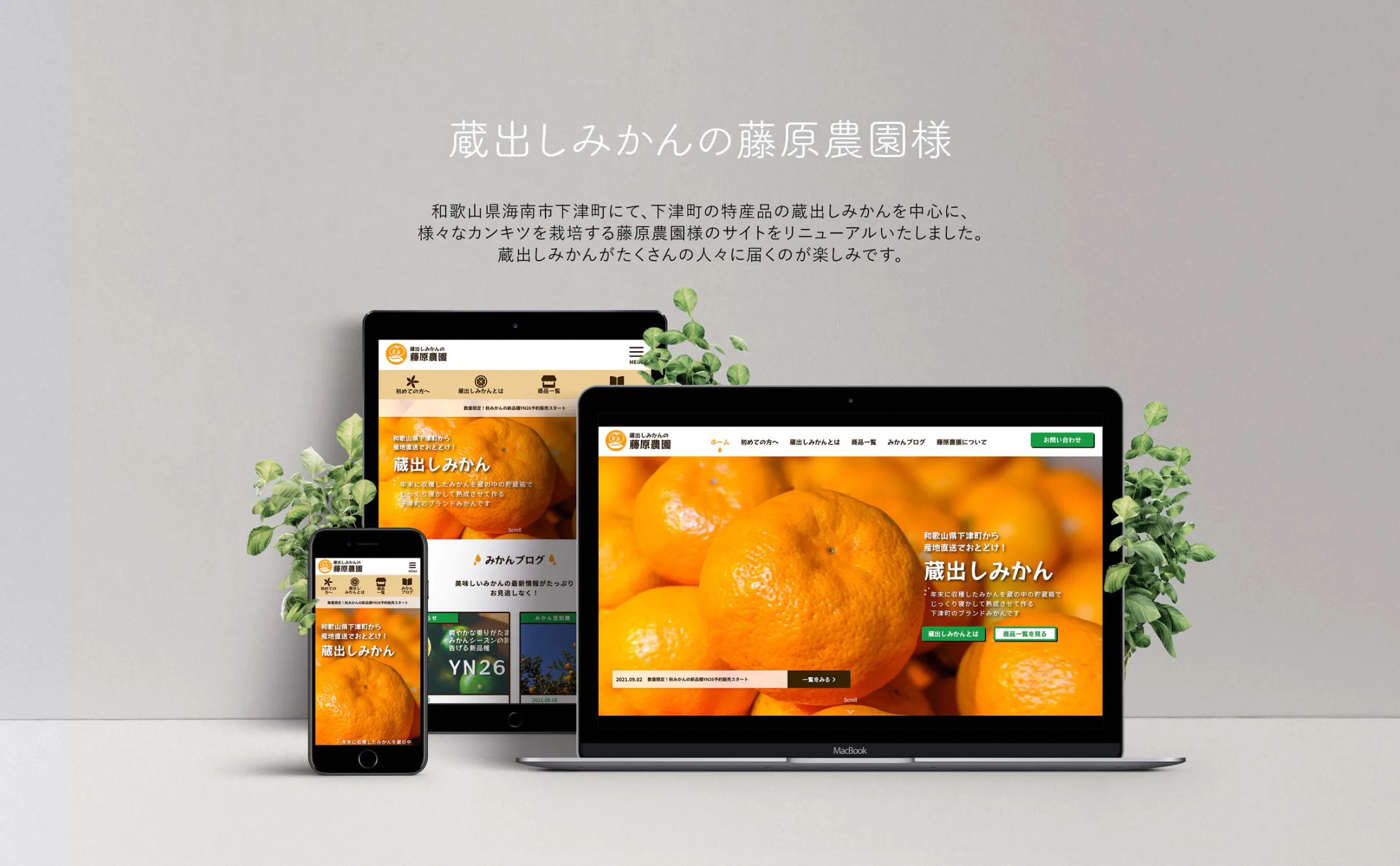 蔵出しみかんの藤原農園様のWebサイト制作-1