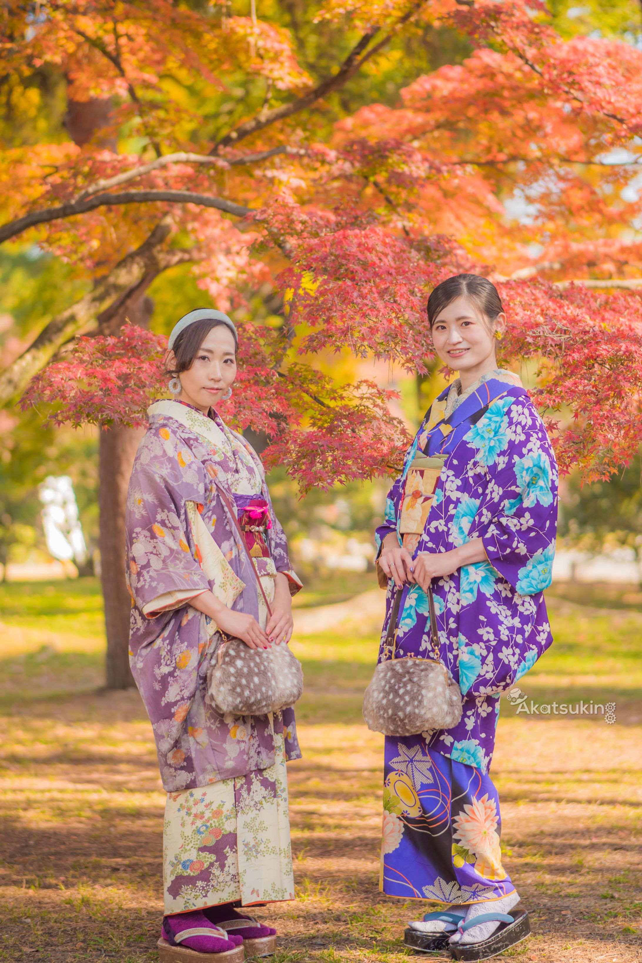 秋麗に袖を連ねて / Walking Hand in Hand Through Autumn's Splendor-1