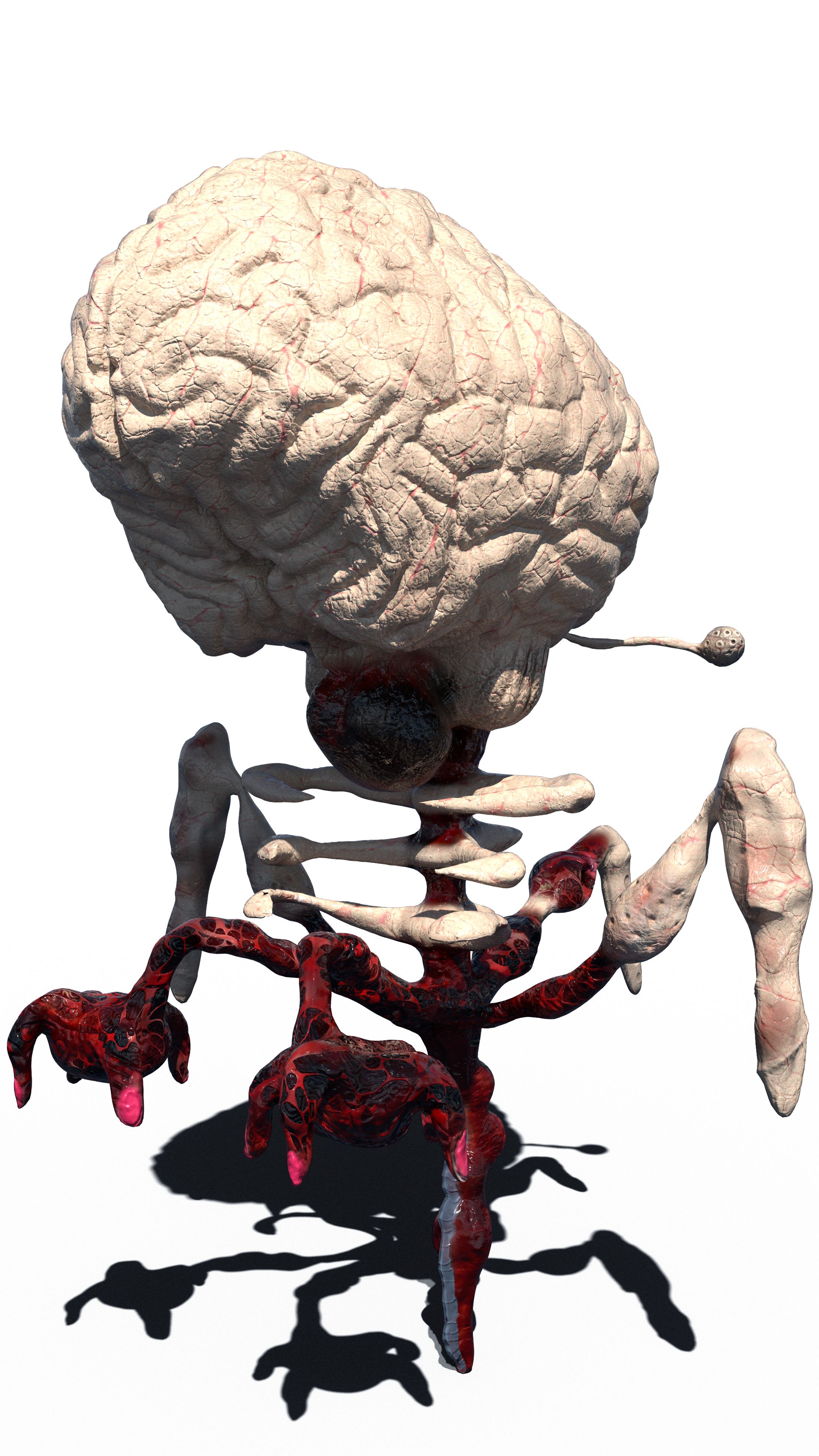 GHOST BRAIN 2026 Models-1