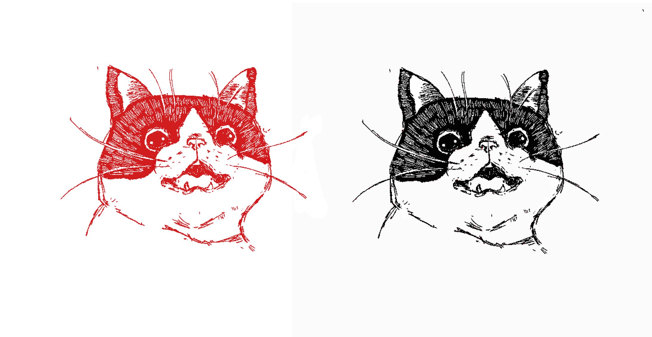 Graphic Illustrations-1