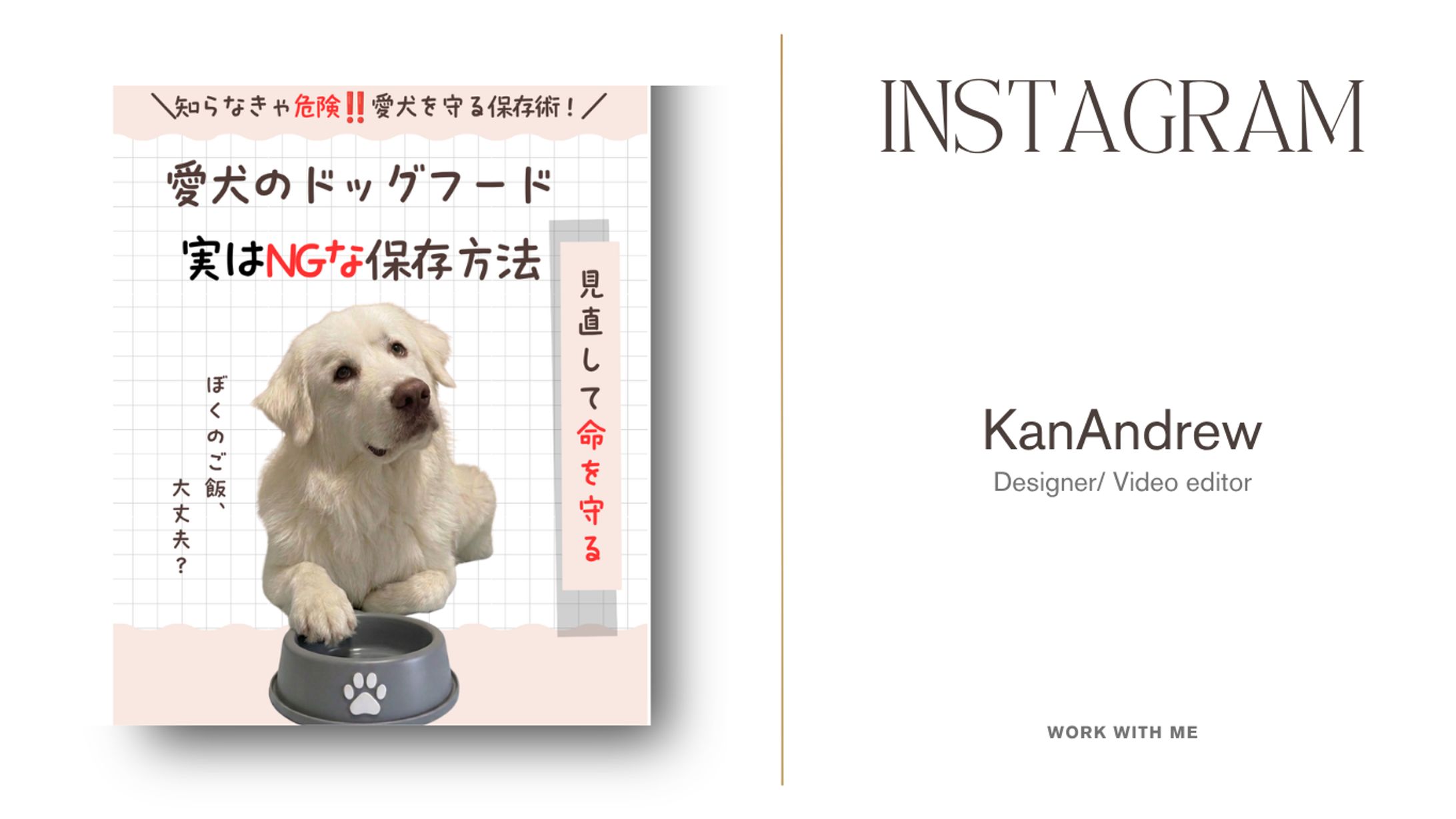 Instagram投稿  Dog food NG5選-1
