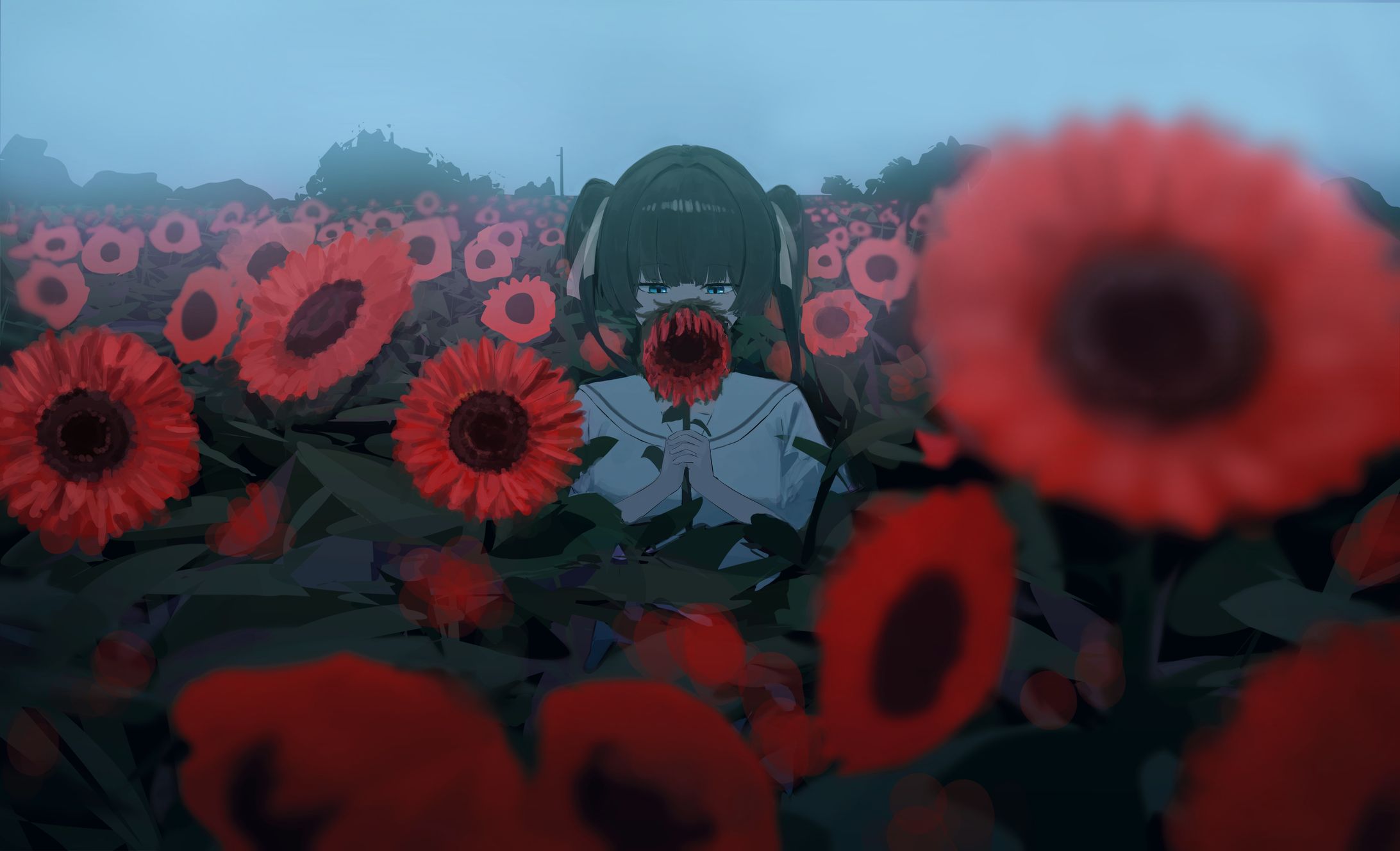 【背景付一枚絵】花畑-1