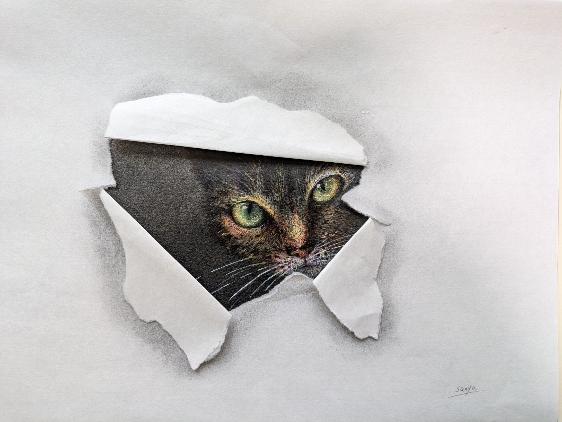 CAT-1