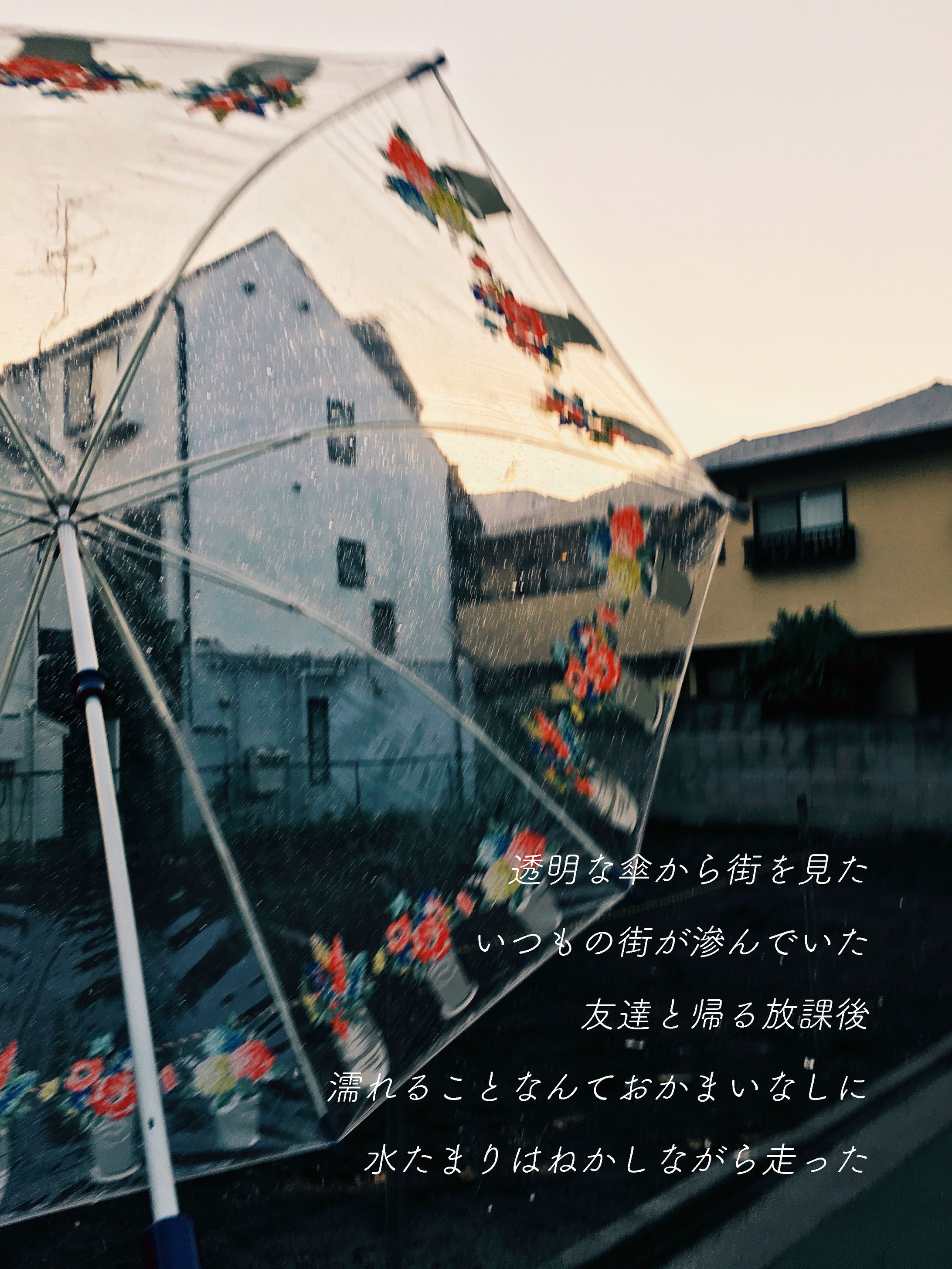 雨-1