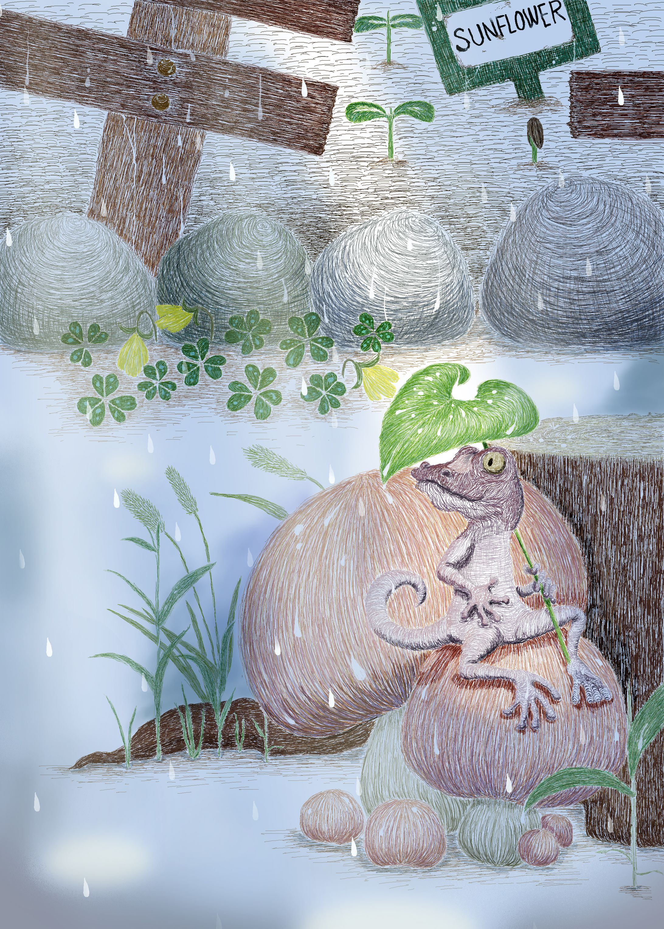 ヤモリの雨宿り-1