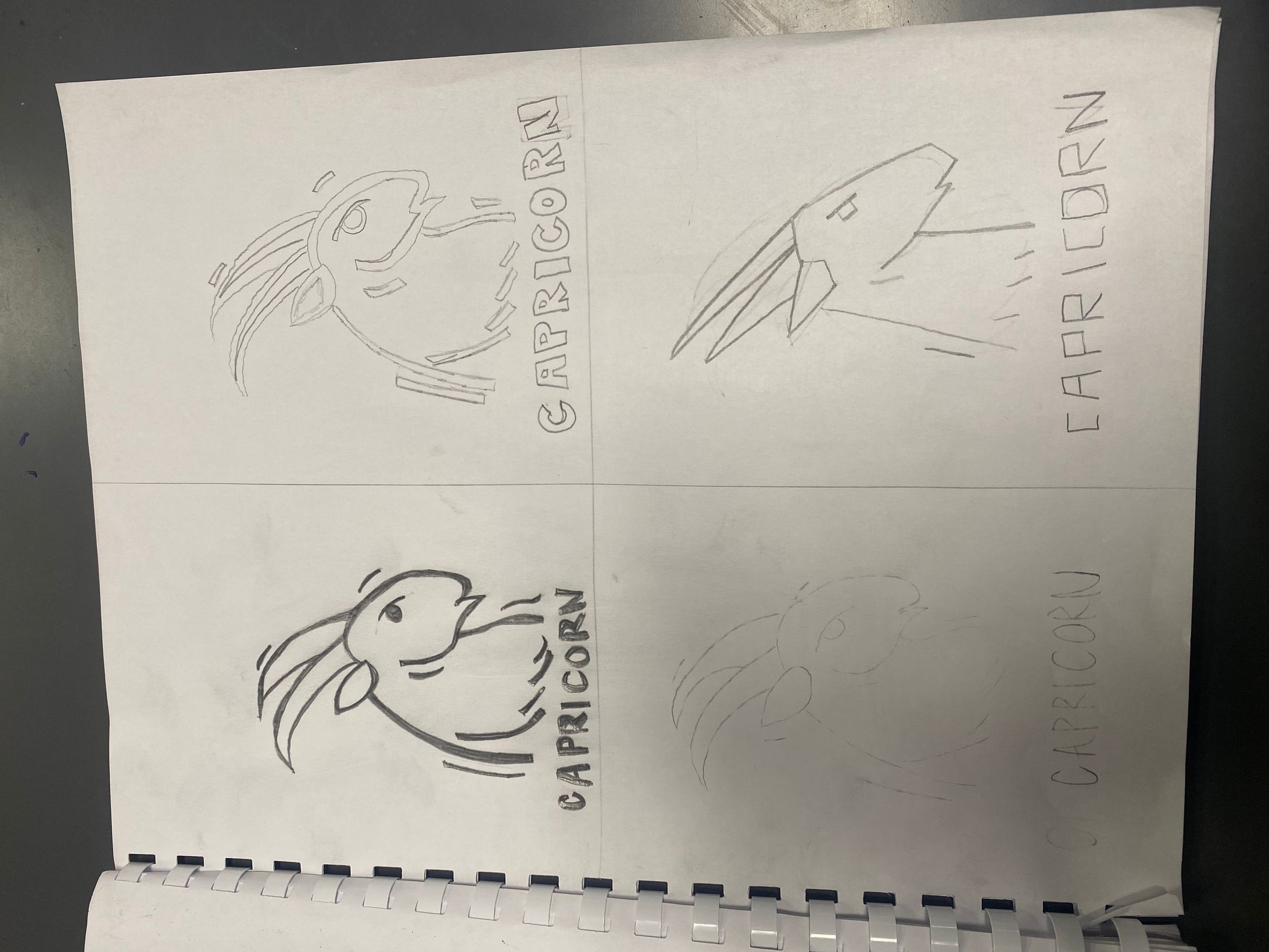 zodiac design -1