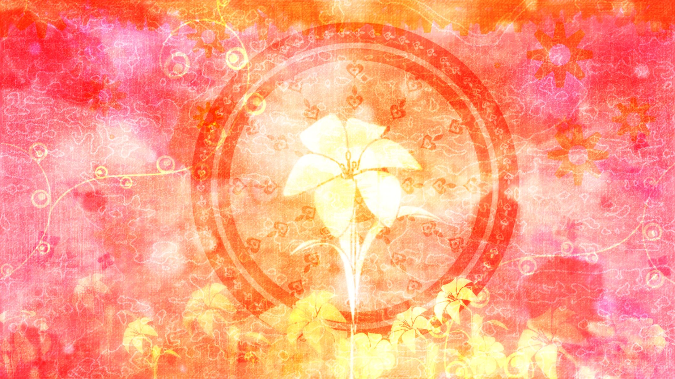 百合の花-1