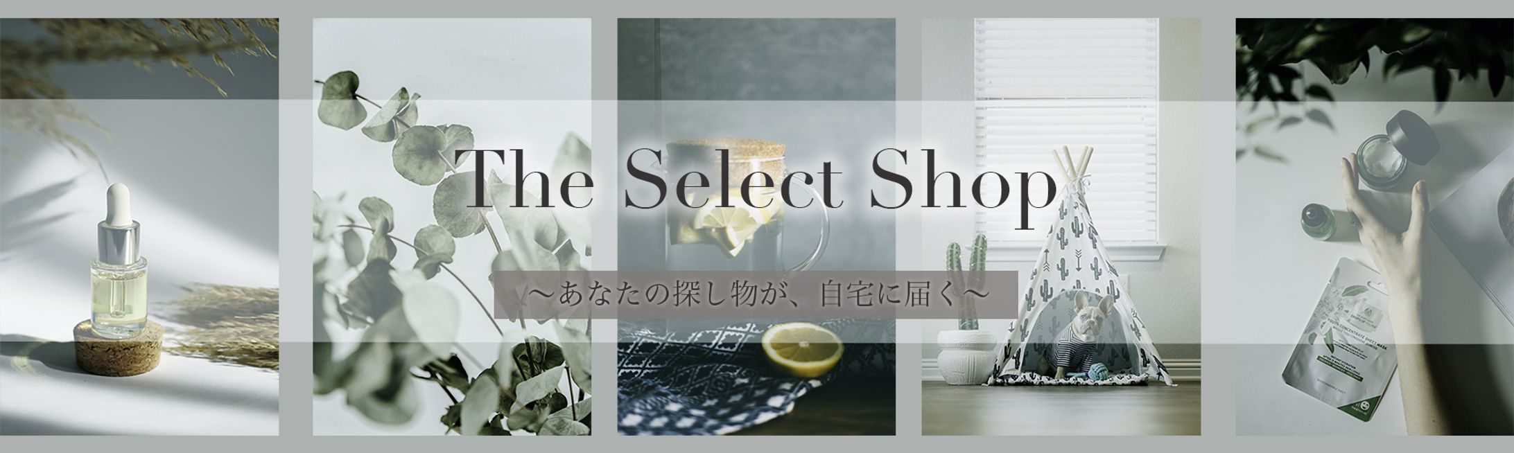 Webshop-1