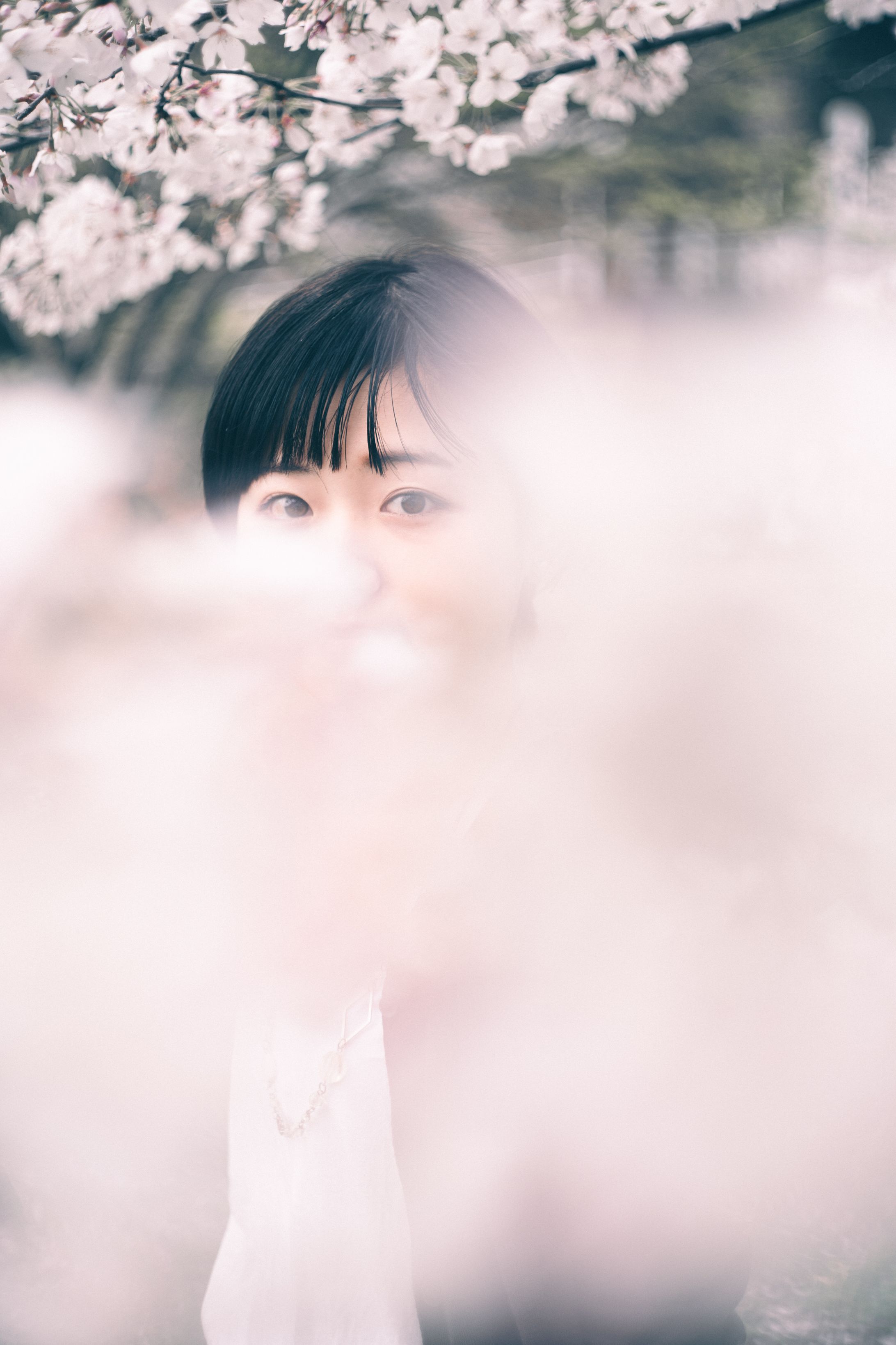 spring portrait-1