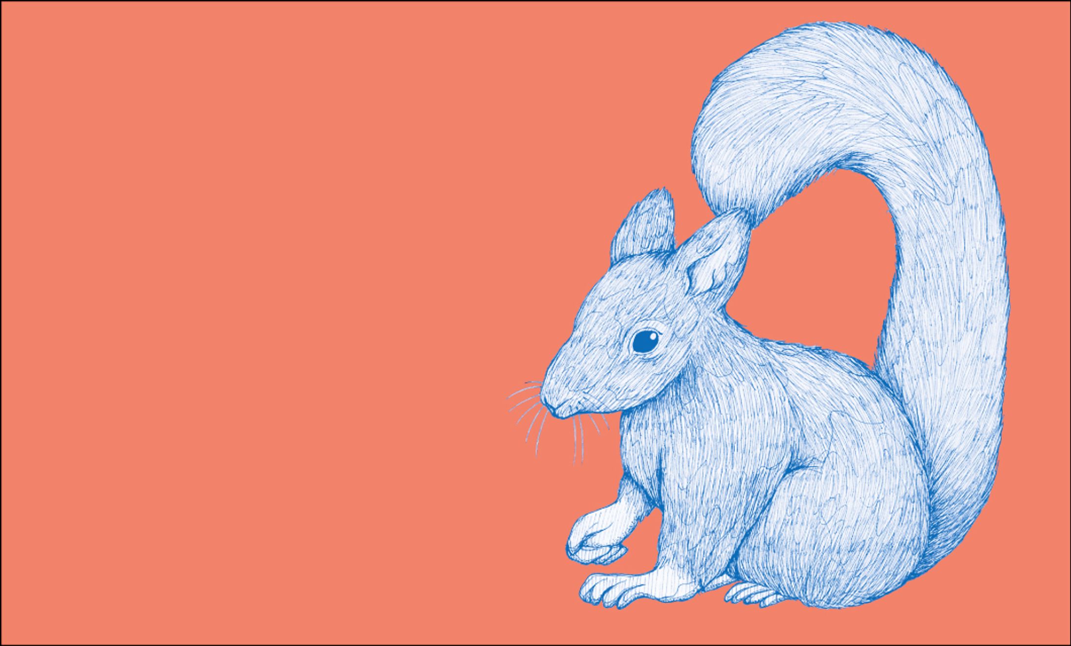 動物のイラスト（ややリアル）-1