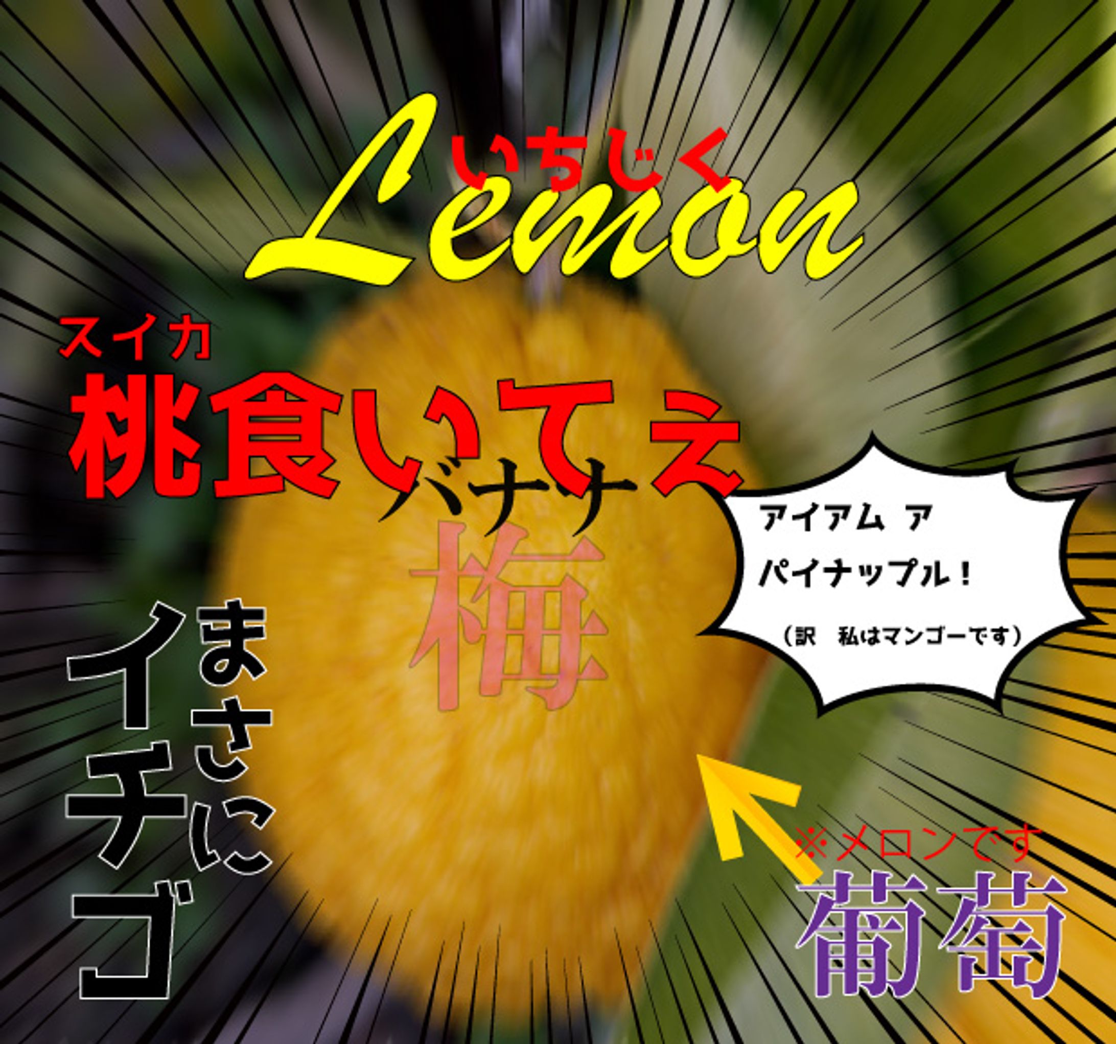情報 量 が 多い 画像