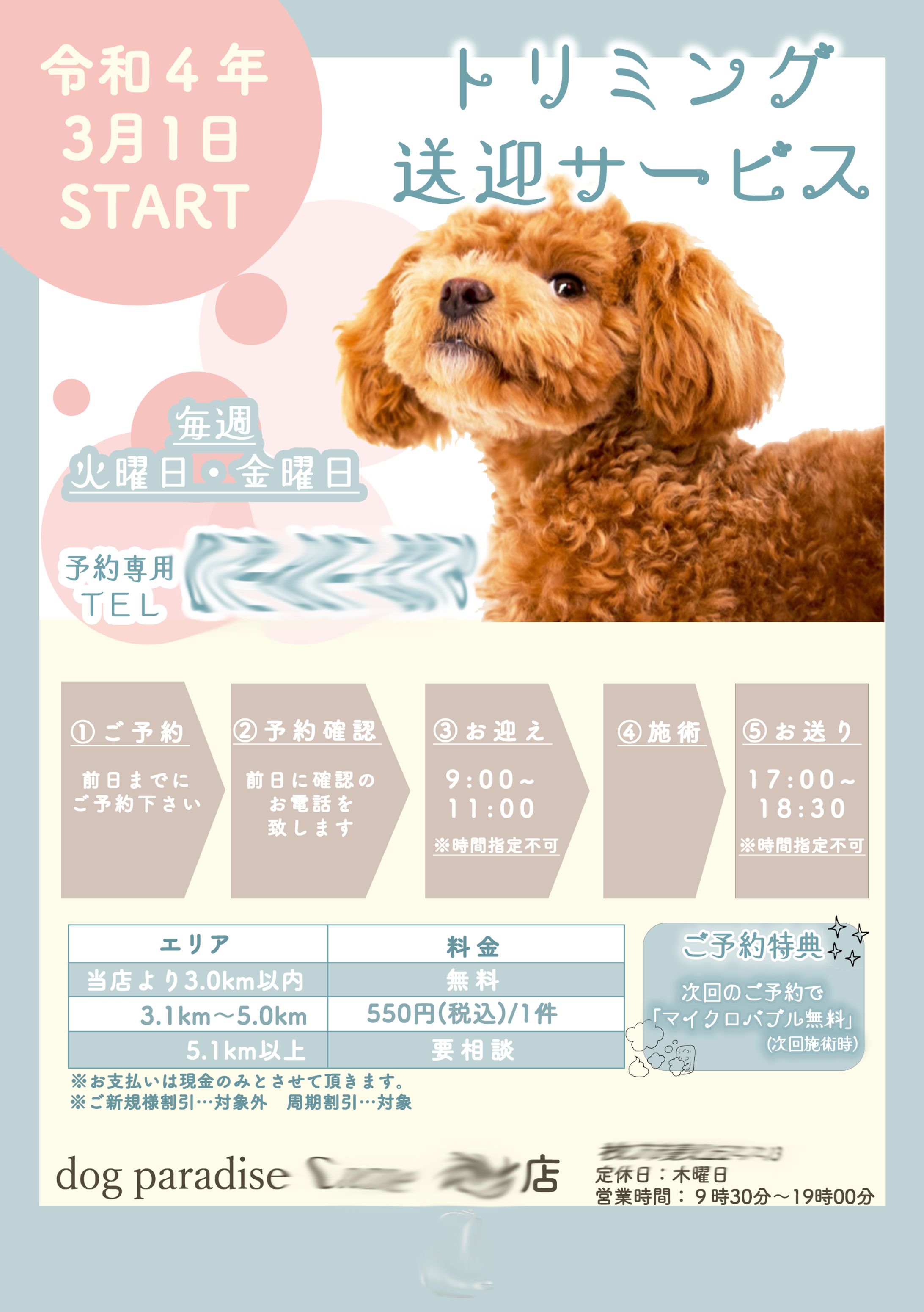 チラシ＃１-1