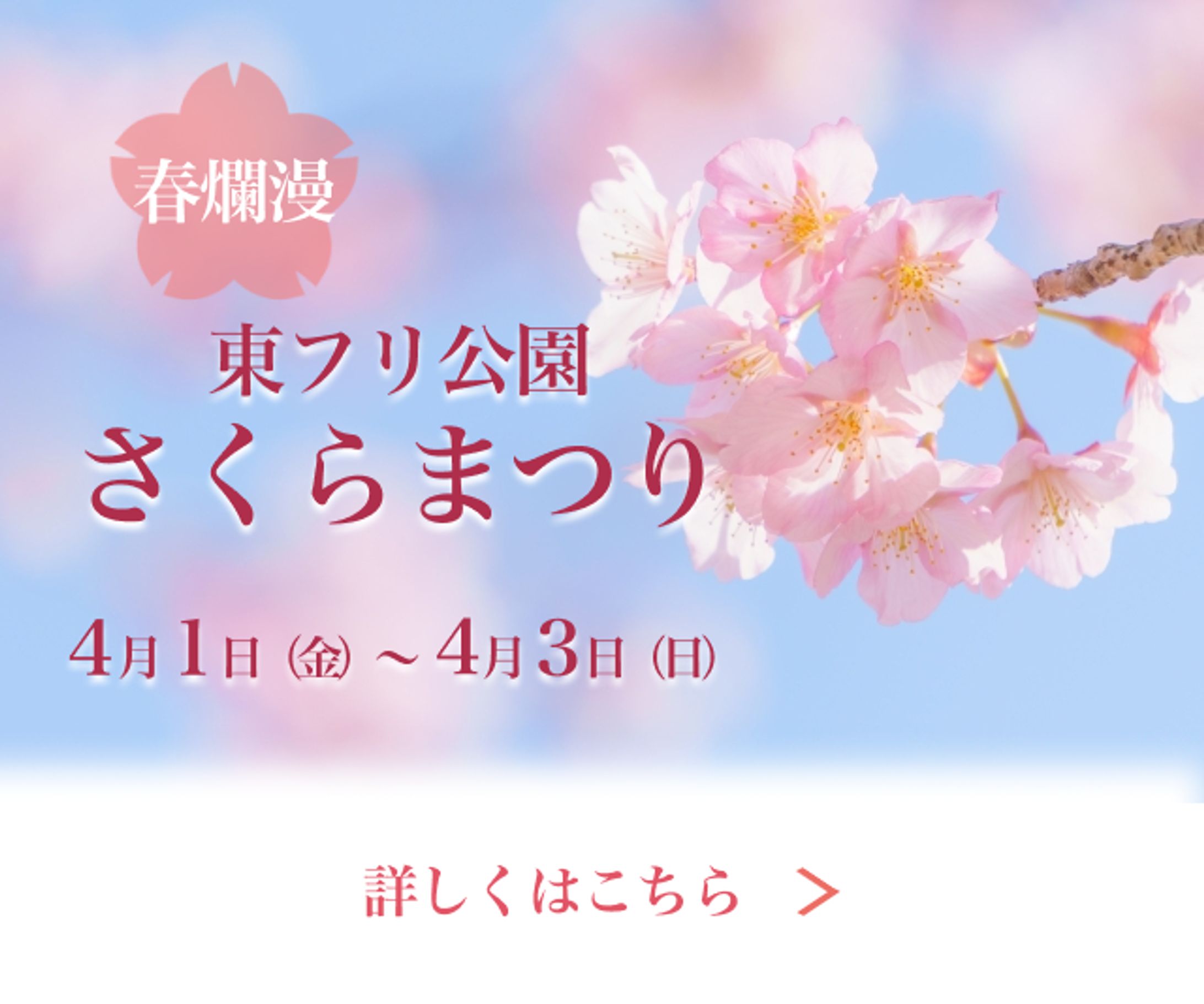 桜まつり-1