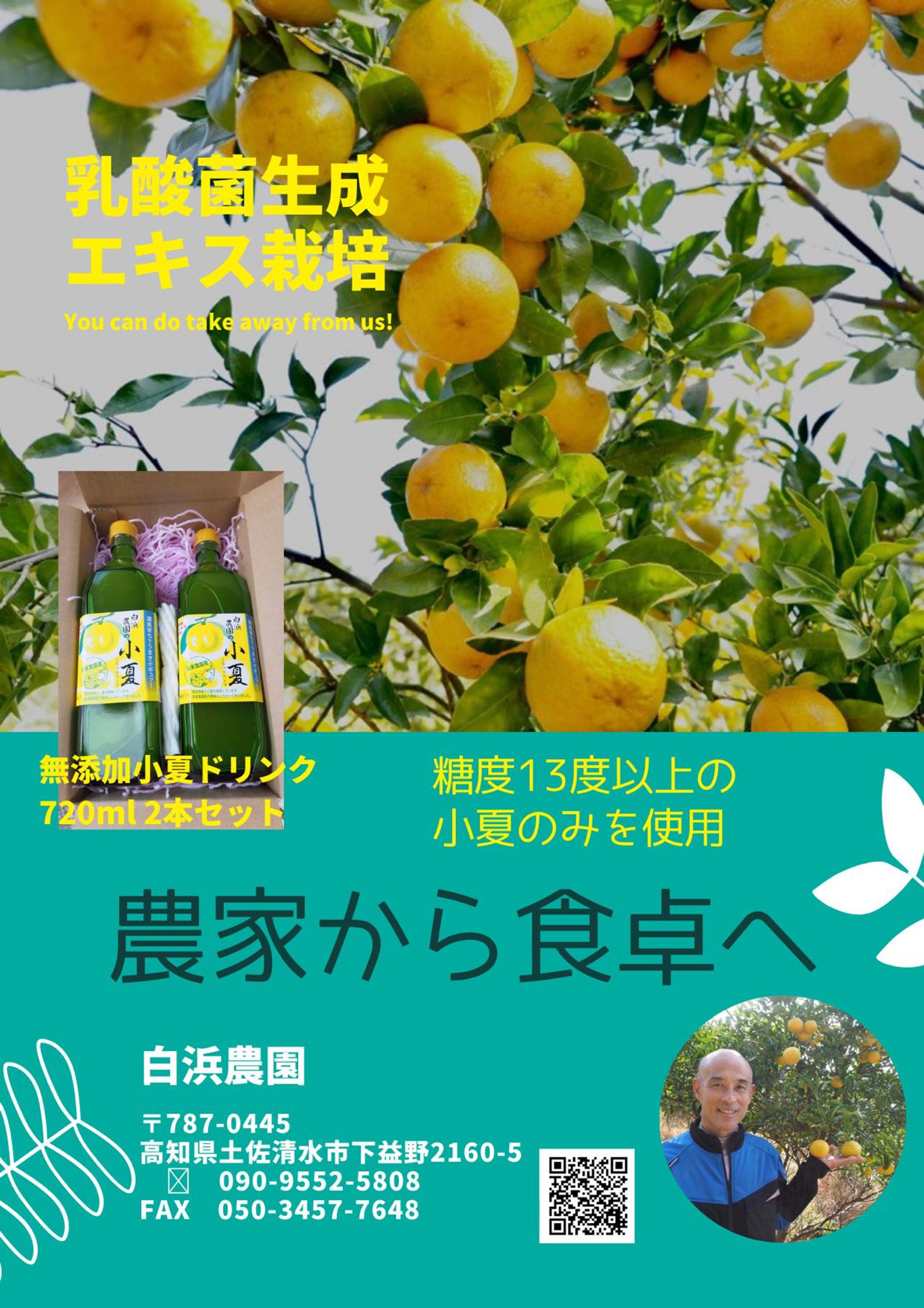 小夏ドリンクPRチラシ-1