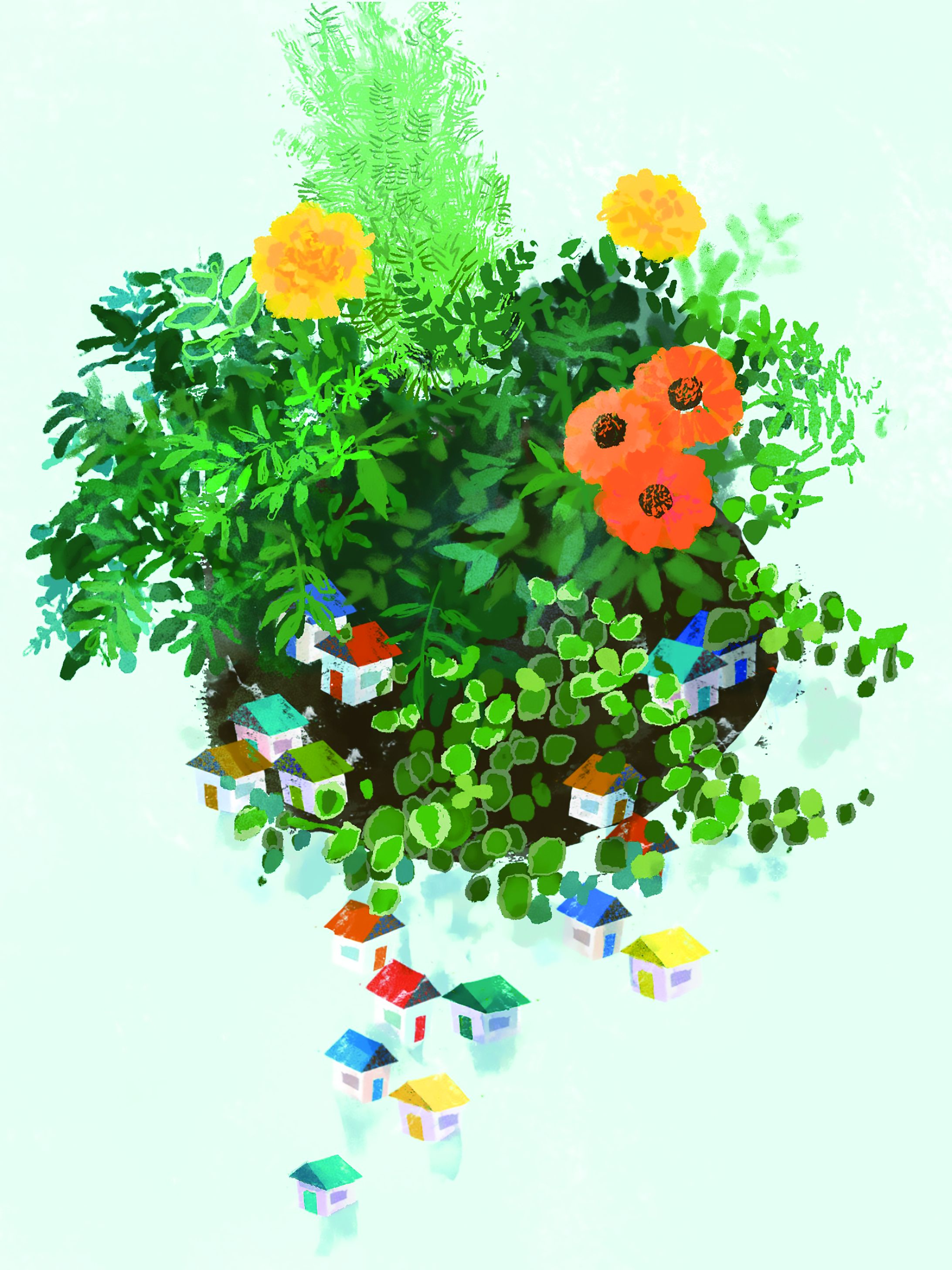 家の花-1