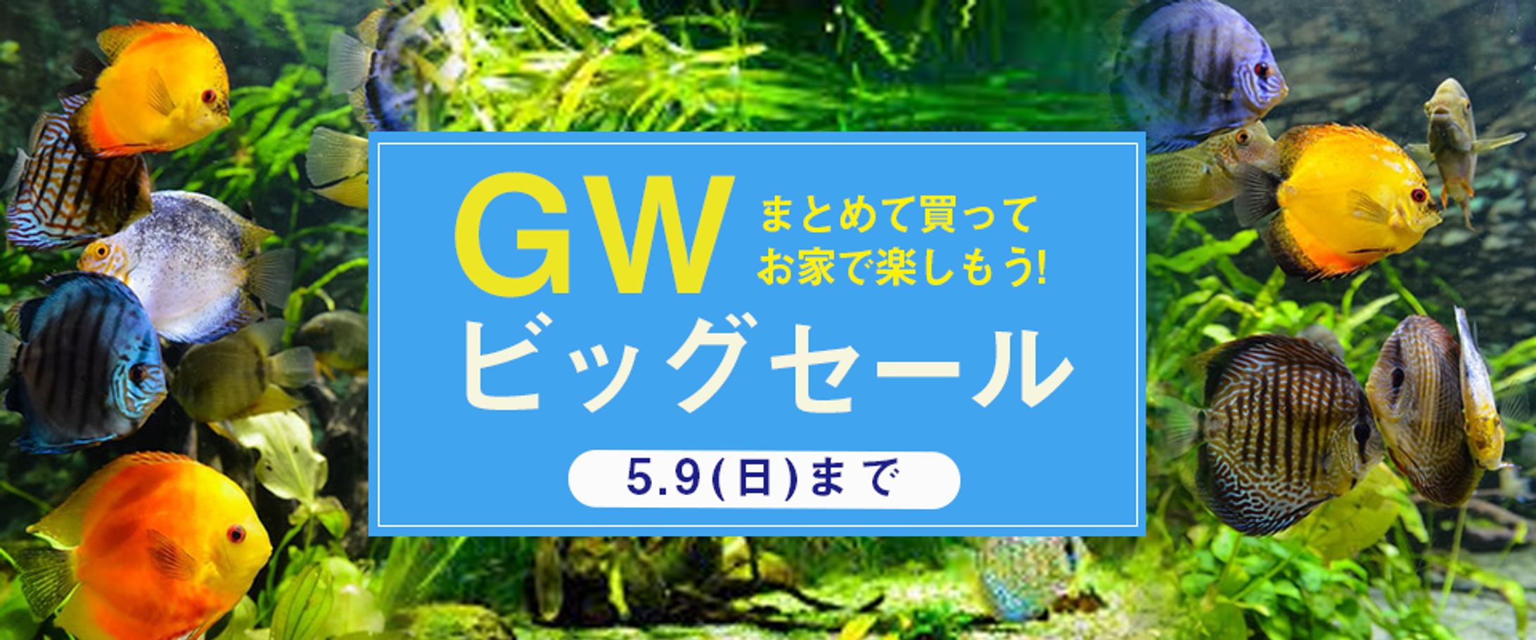 GWセール | バナー-1