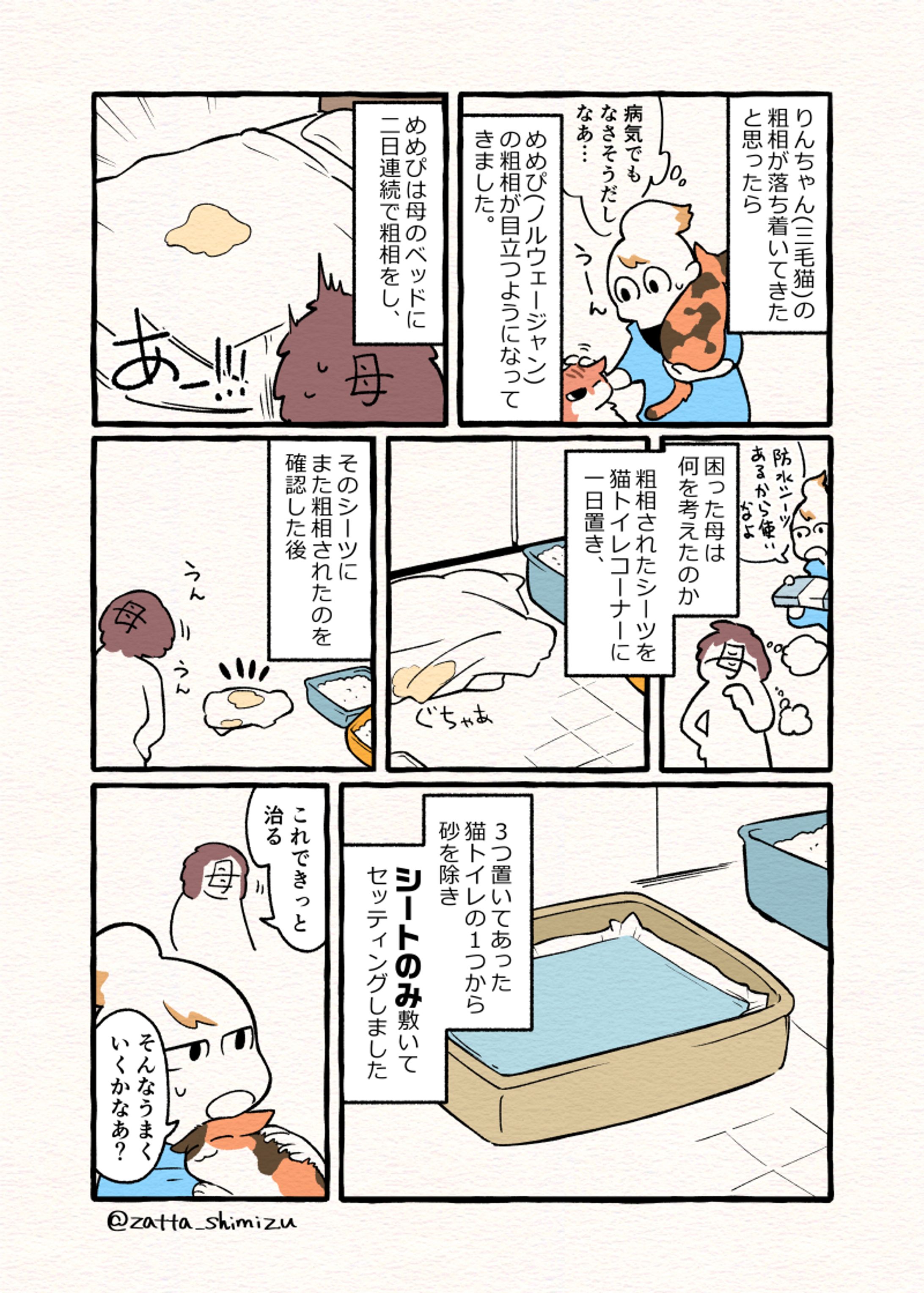 エッセイとニセエッセイ-1