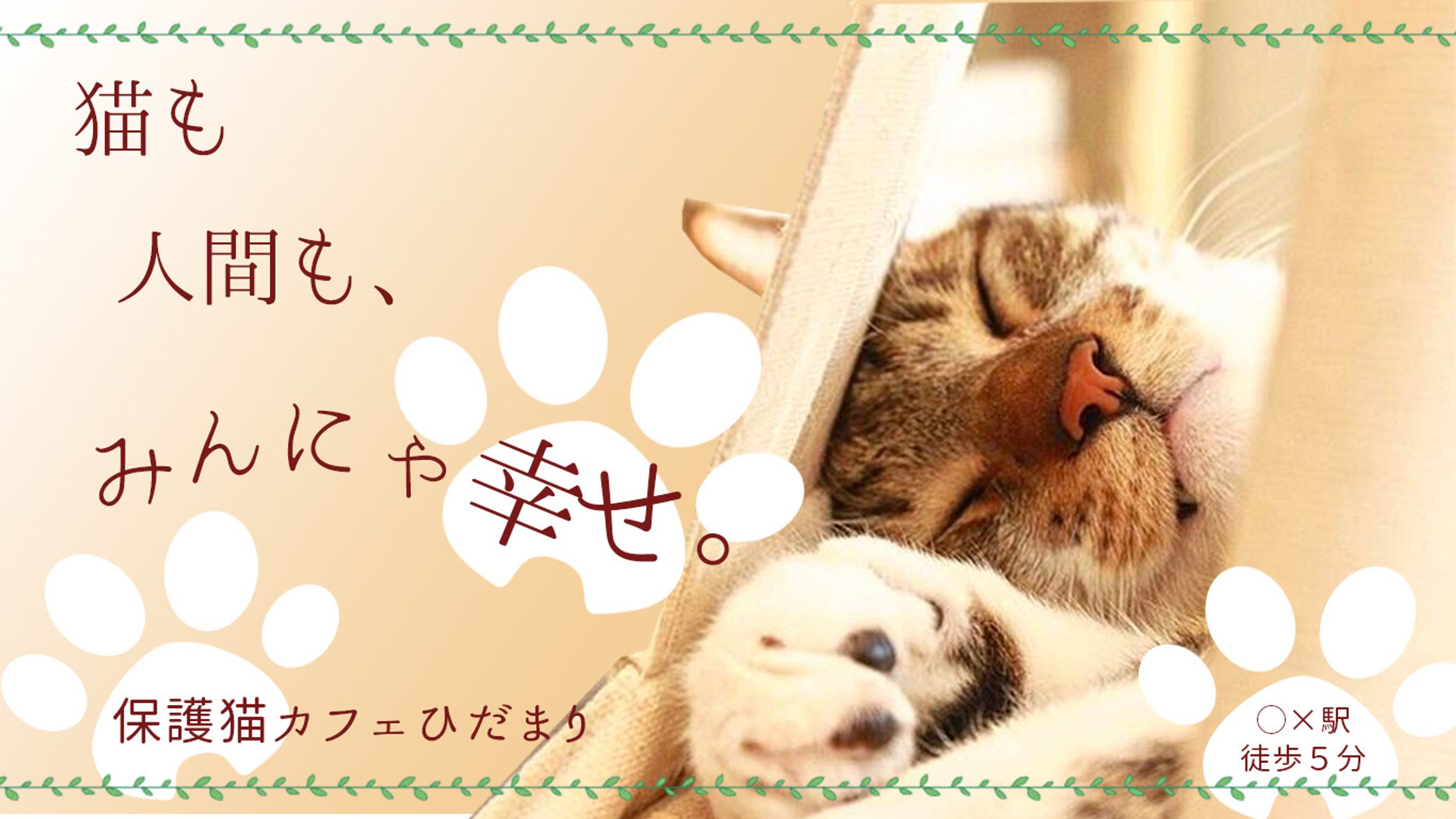 保護猫カフェ-1
