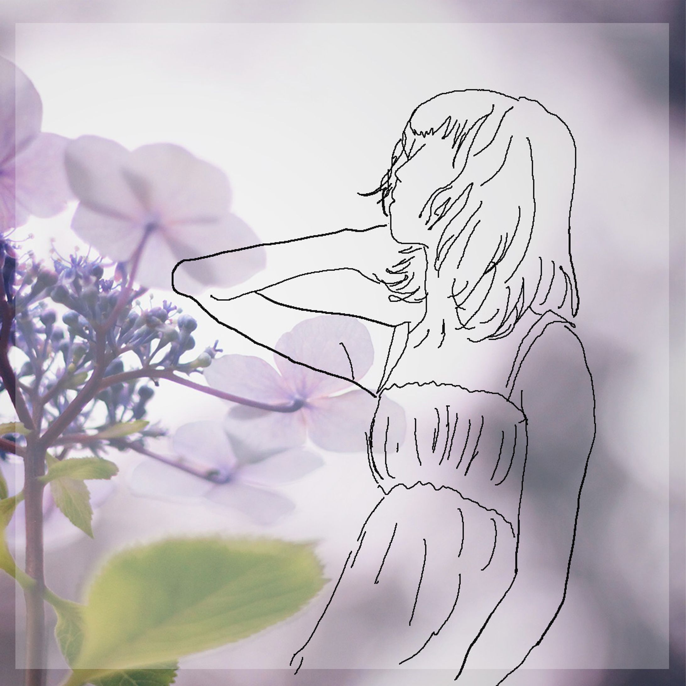線画イラスト1-1