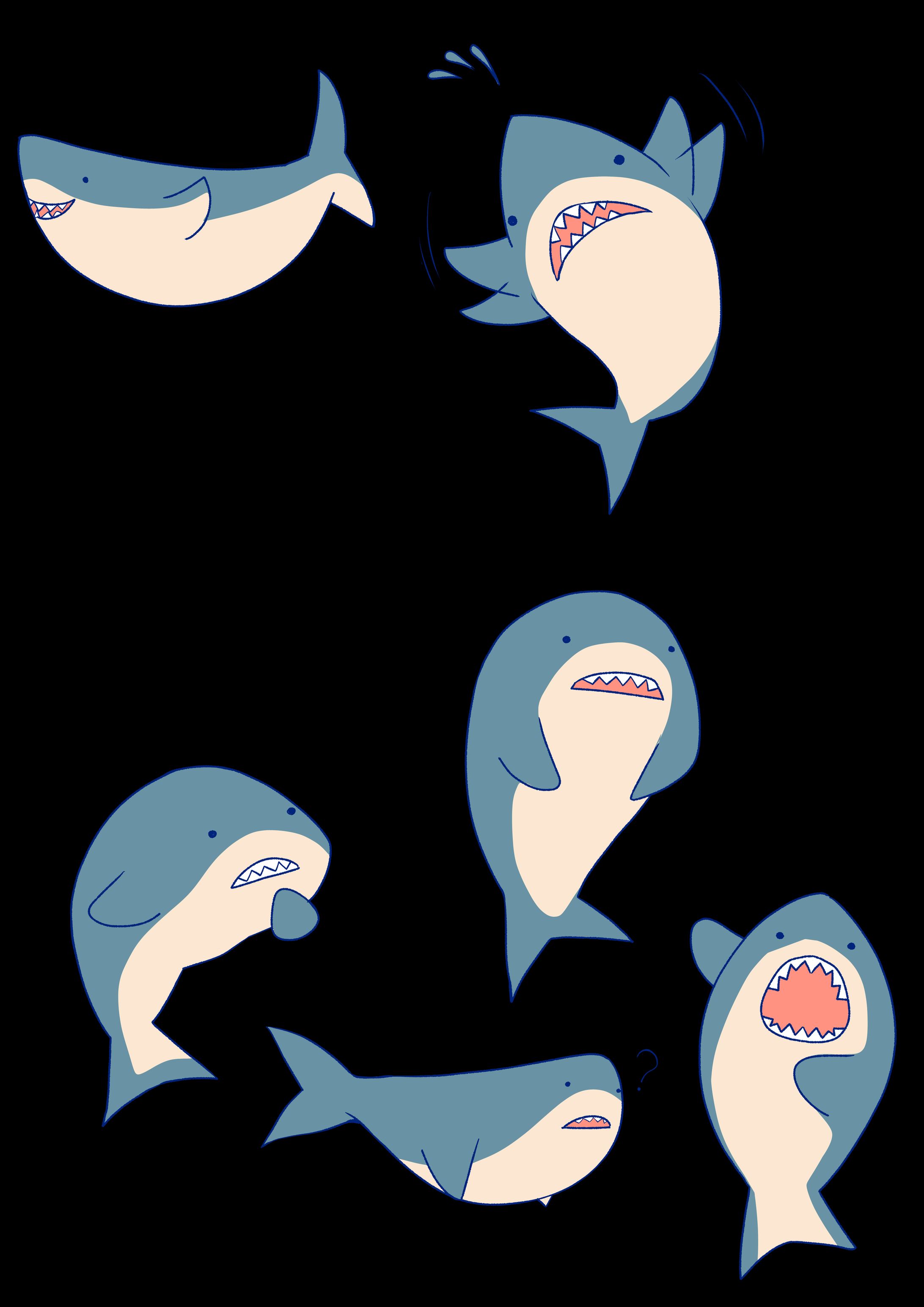 サメ-1