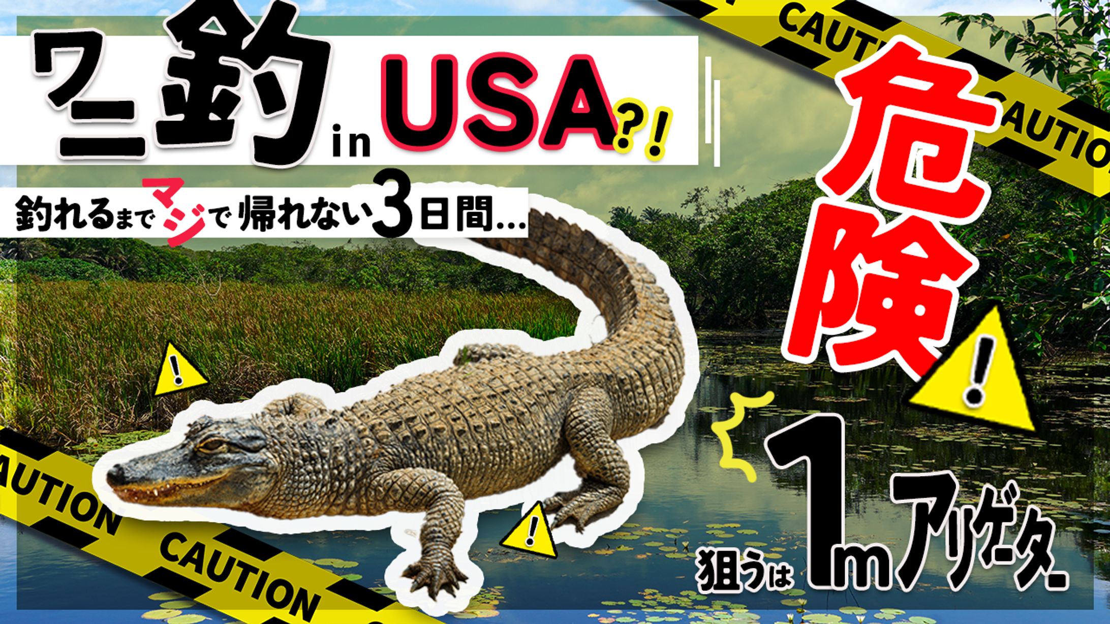 ワニ釣りinUSA　youtubeサムネイル-1