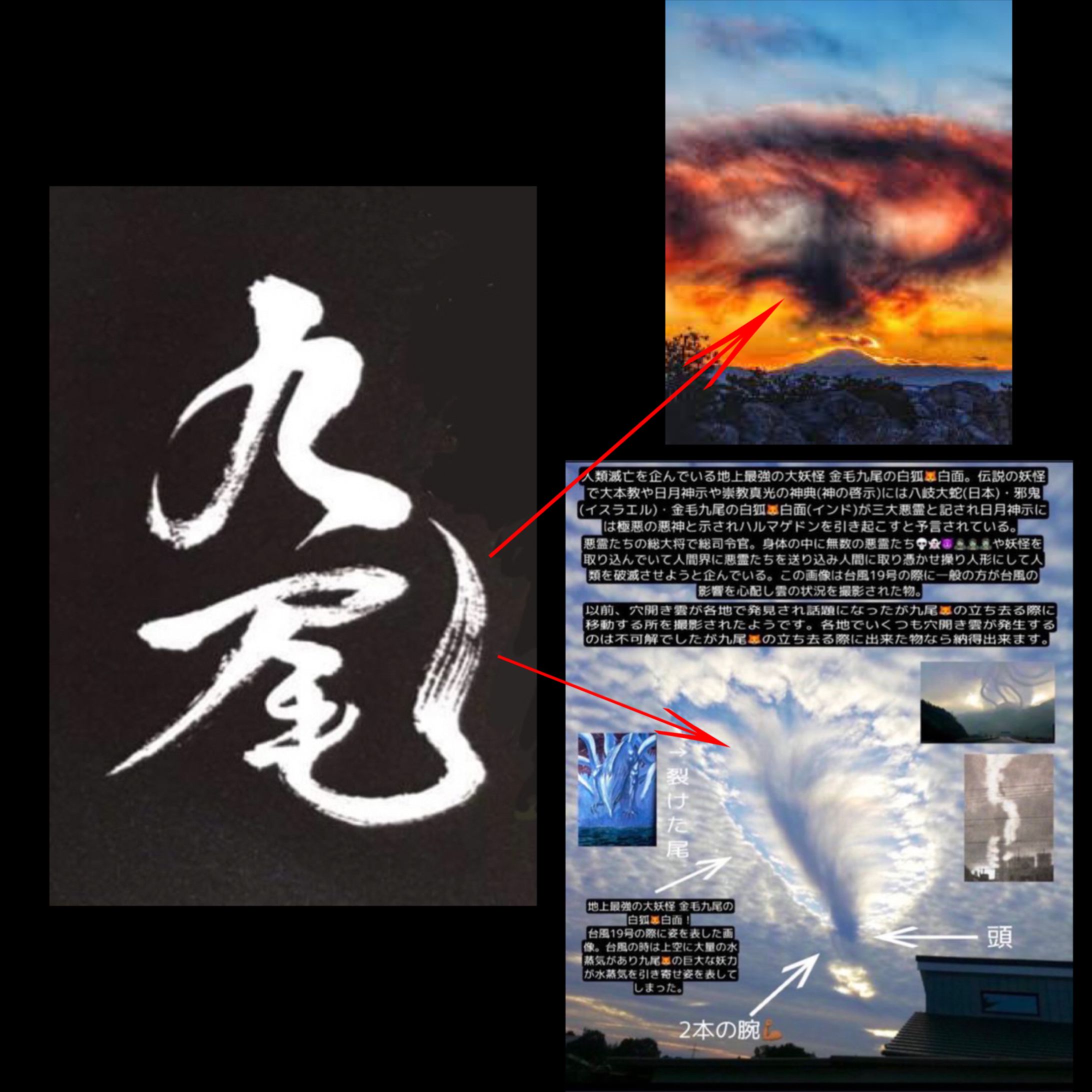 51AD9405 EA7E 4A2E 8F84 CAAE80ADE3D4-1